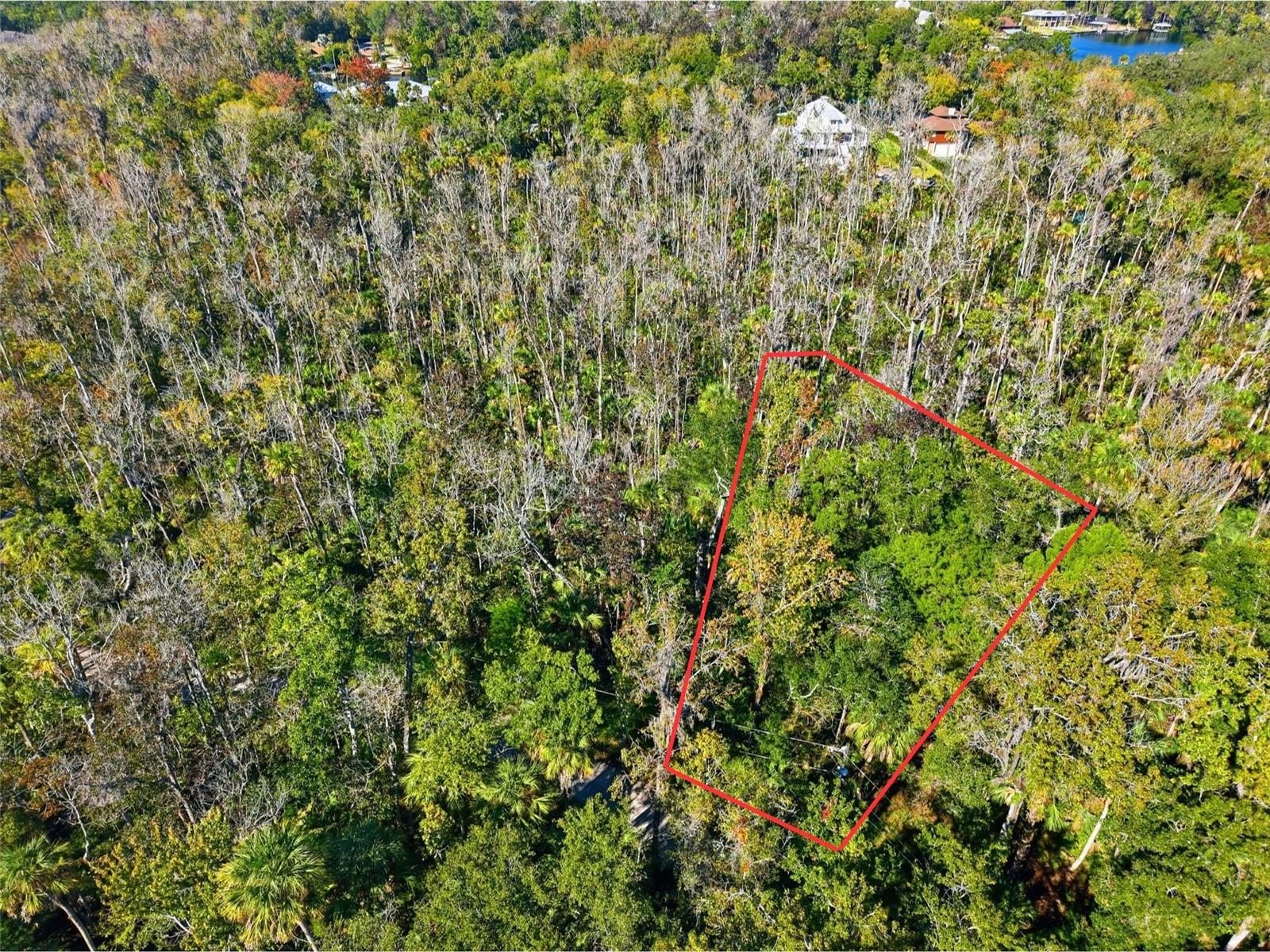 Details for 4465 Lewoods Drive, HOMOSASSA, FL 34448