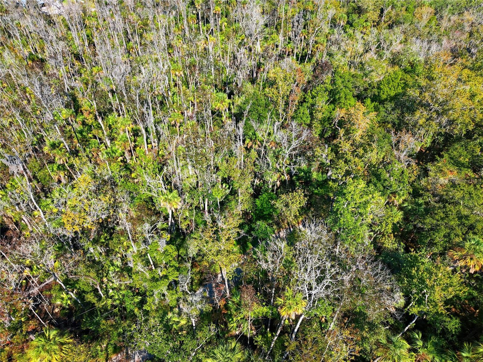 Image 2 of 6 For 4465 Lewoods Drive