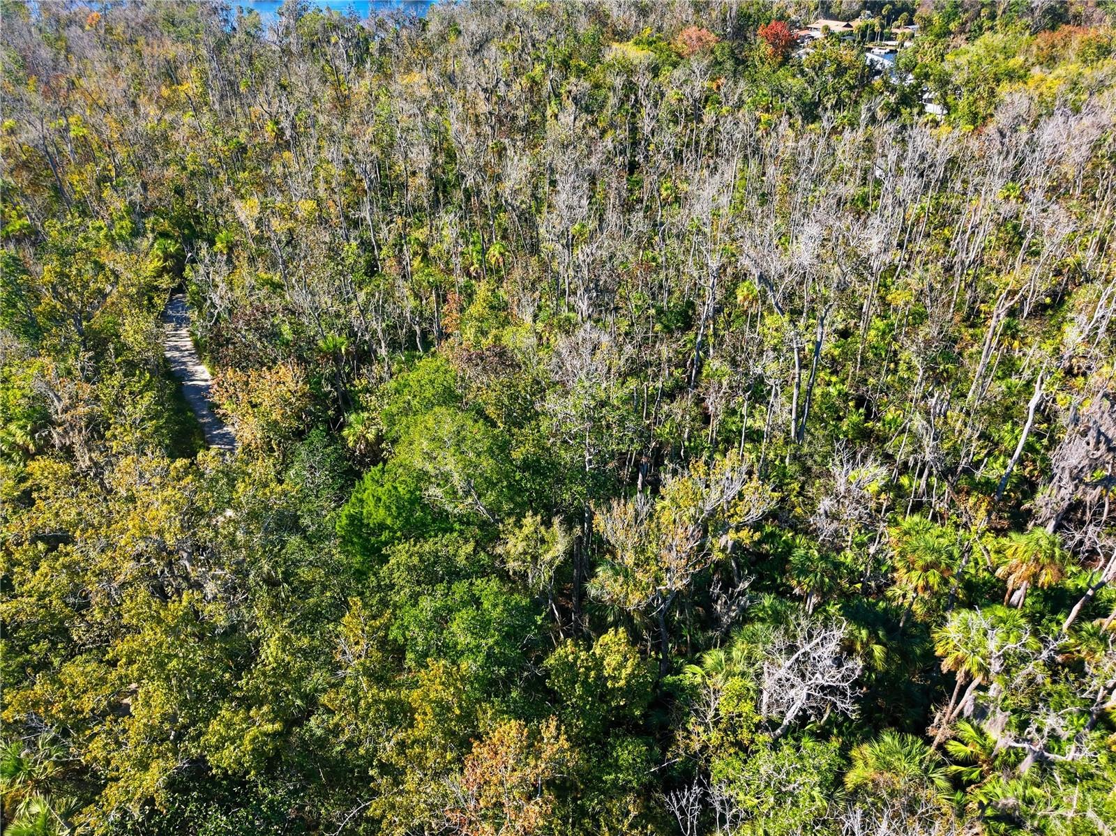 Image 3 of 6 For 4465 Lewoods Drive