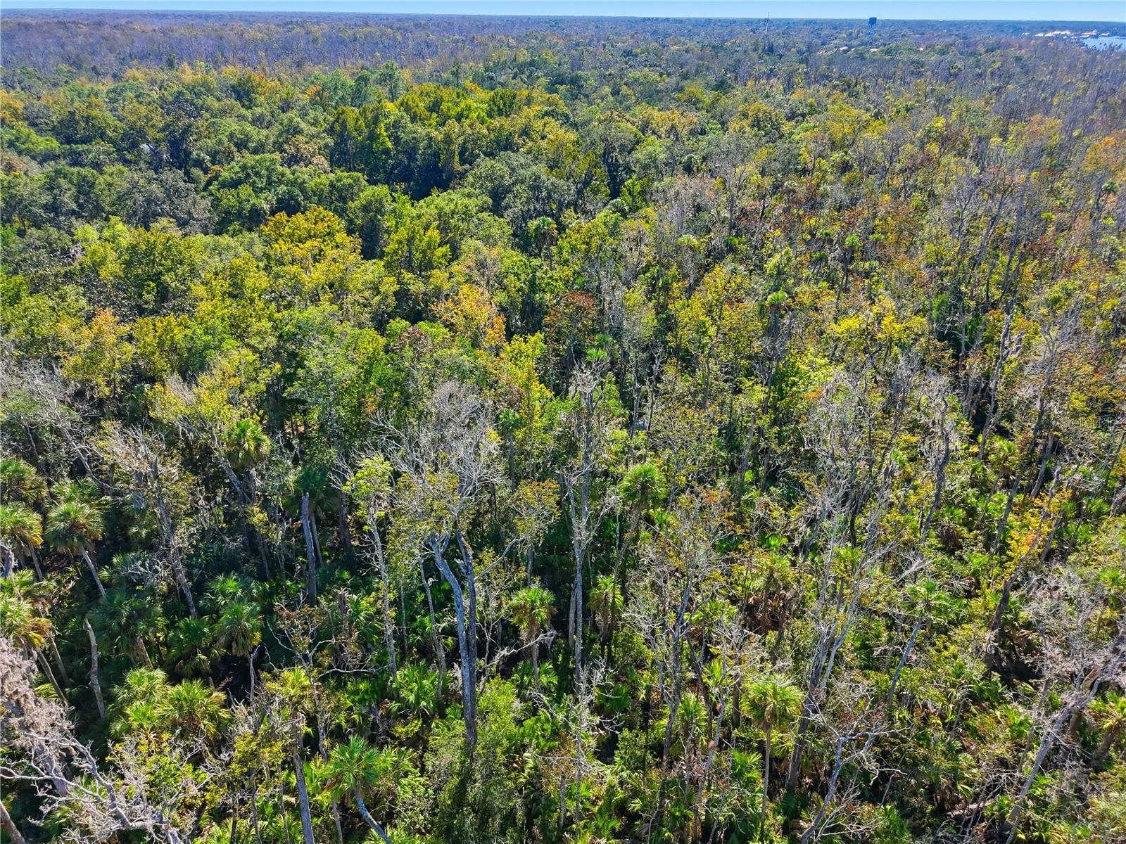 Image 4 of 6 For 4465 Lewoods Drive