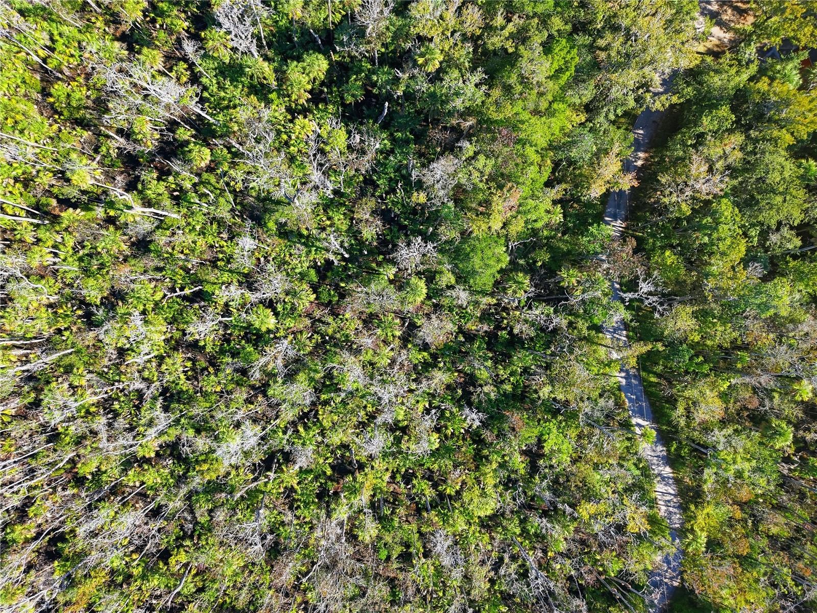 Image 5 of 6 For 4465 Lewoods Drive