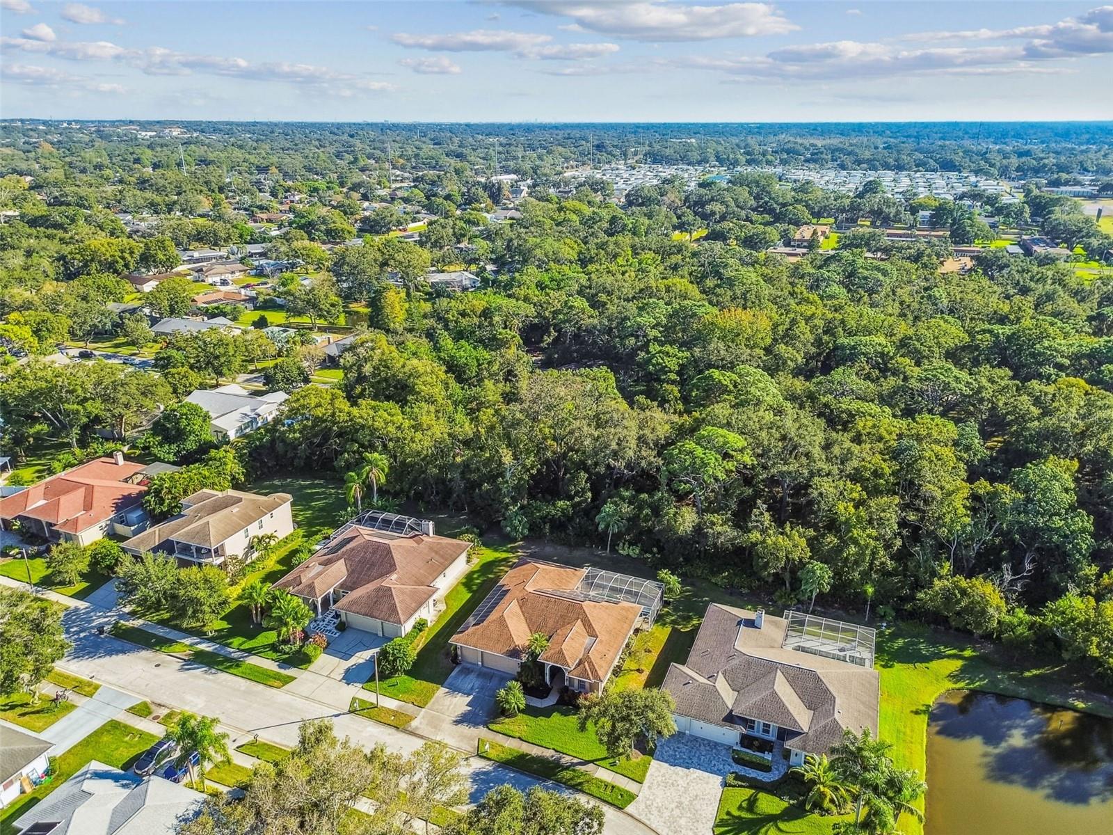 Image 88 of 94 For 1955 Dunloe Circle