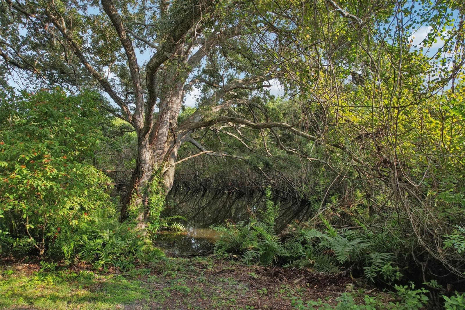 Image 43 of 44 For 2990 Longbrooke Way