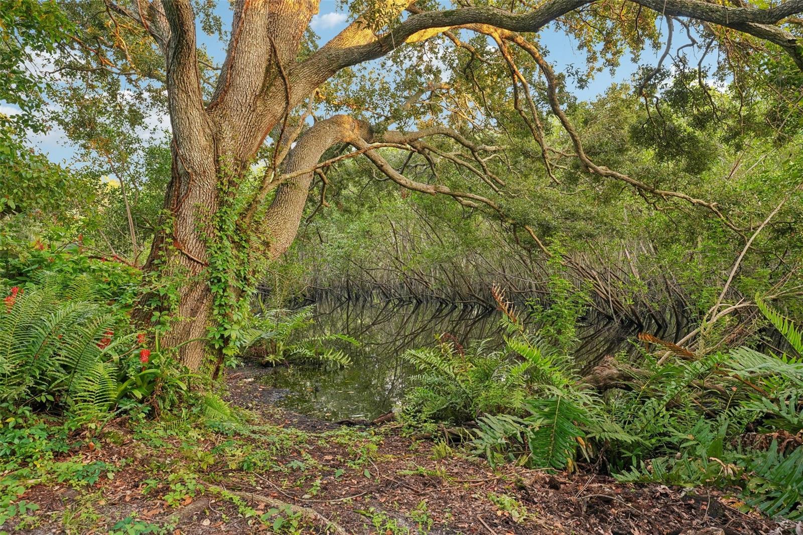 Image 44 of 44 For 2990 Longbrooke Way