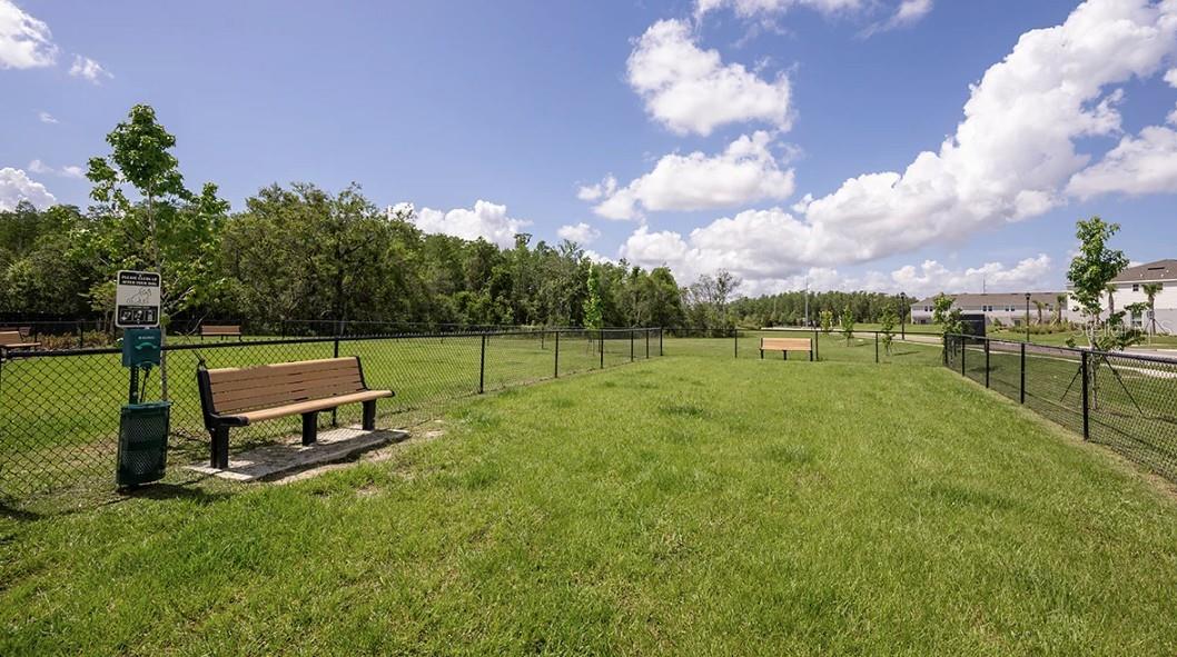 Image 19 of 22 For 13207 Forge Avenue