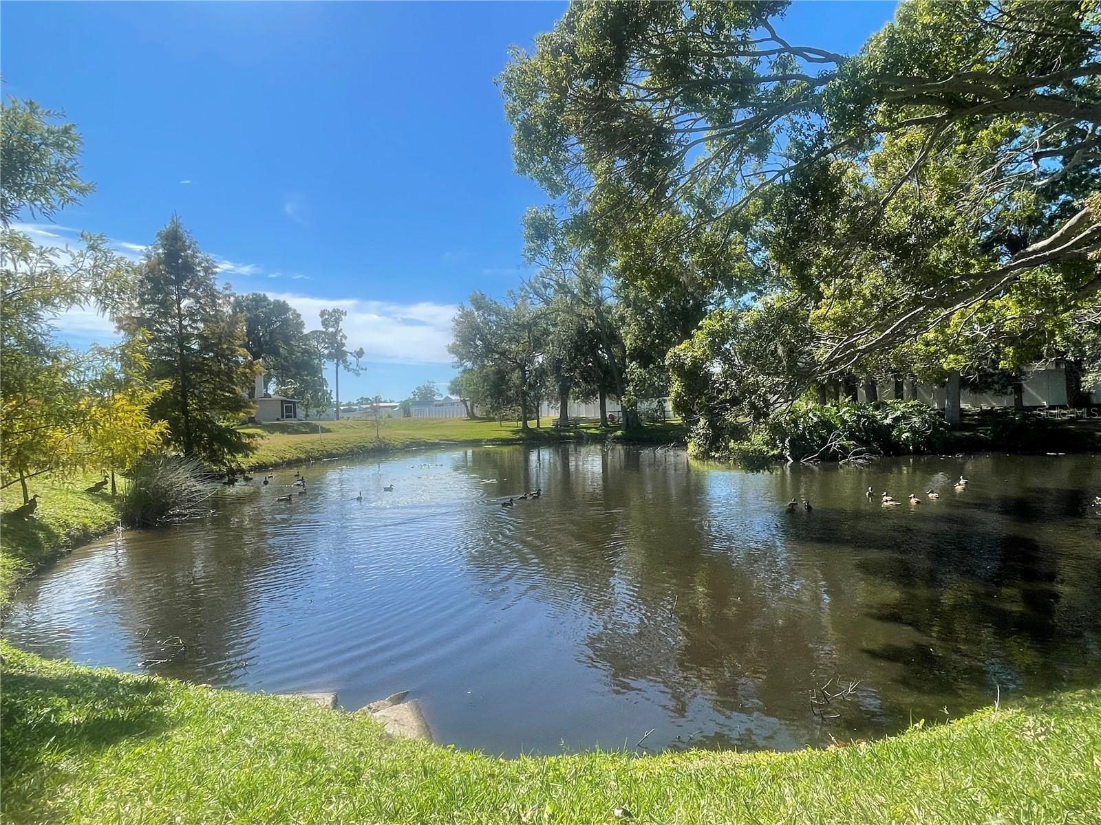 Image 45 of 52 For 6980 Ulmerton Road 3g