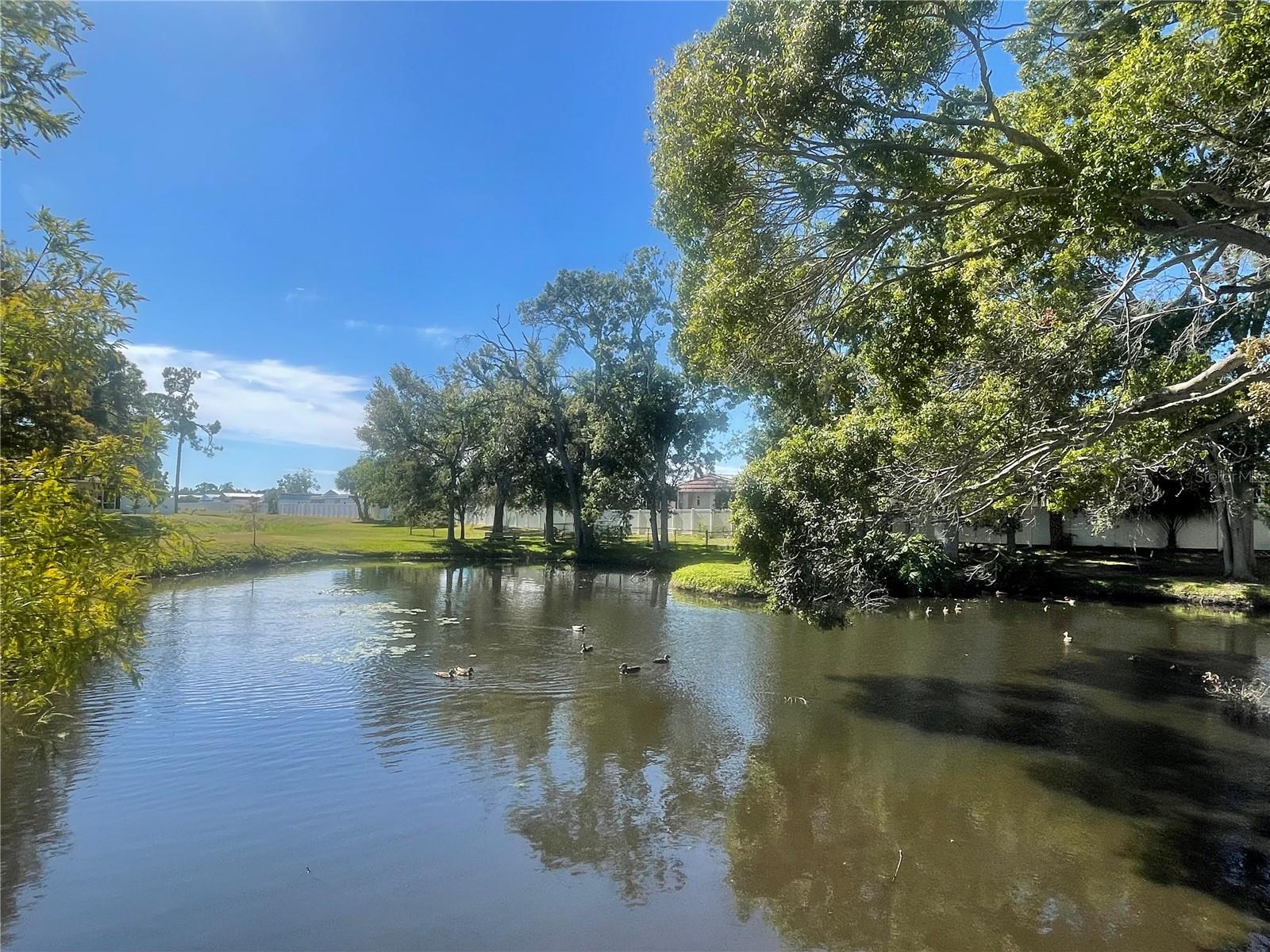 Image 50 of 52 For 6980 Ulmerton Road 3g