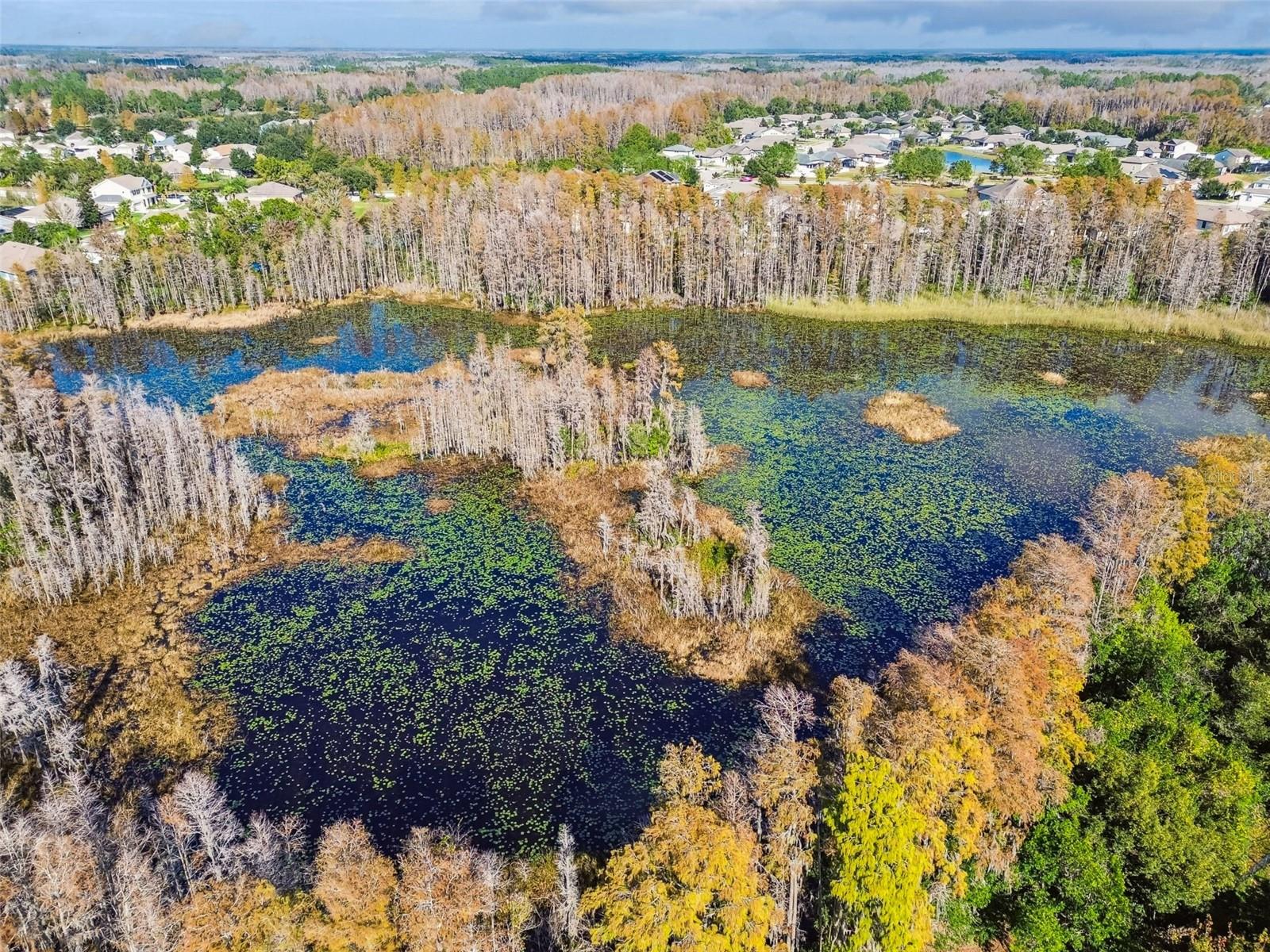 Image 12 of 86 For 19411 Ranchview Court