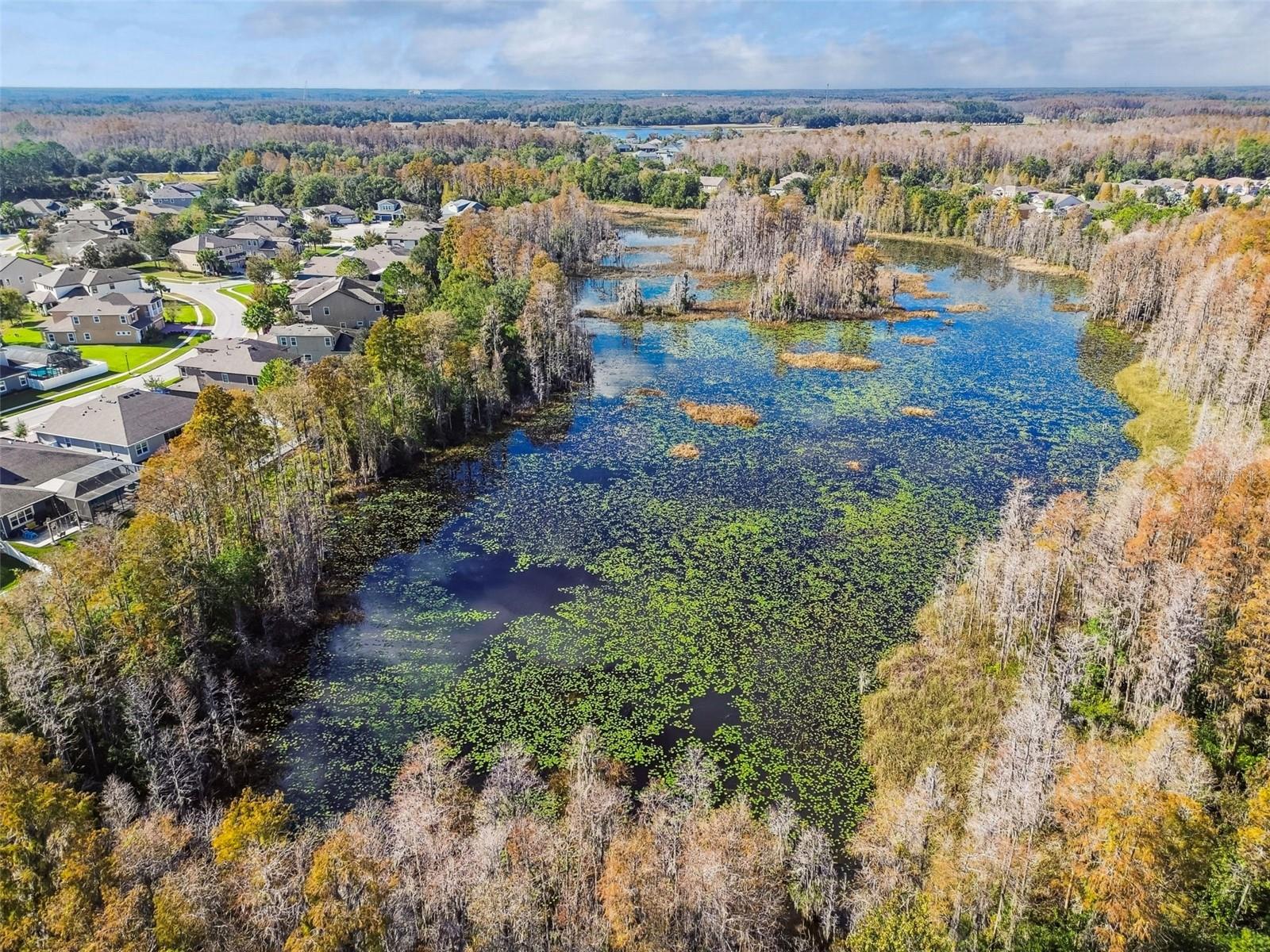 Image 56 of 86 For 19411 Ranchview Court
