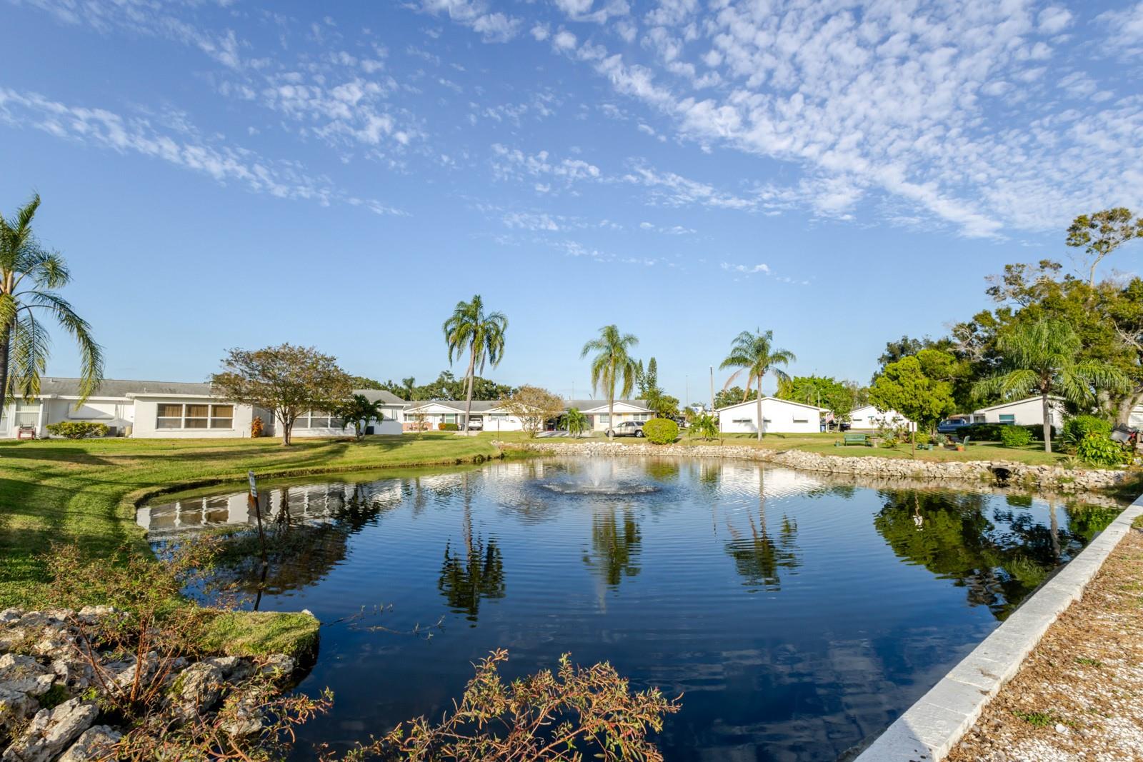 Image 42 of 54 For 9905 Dahlia Street N 27