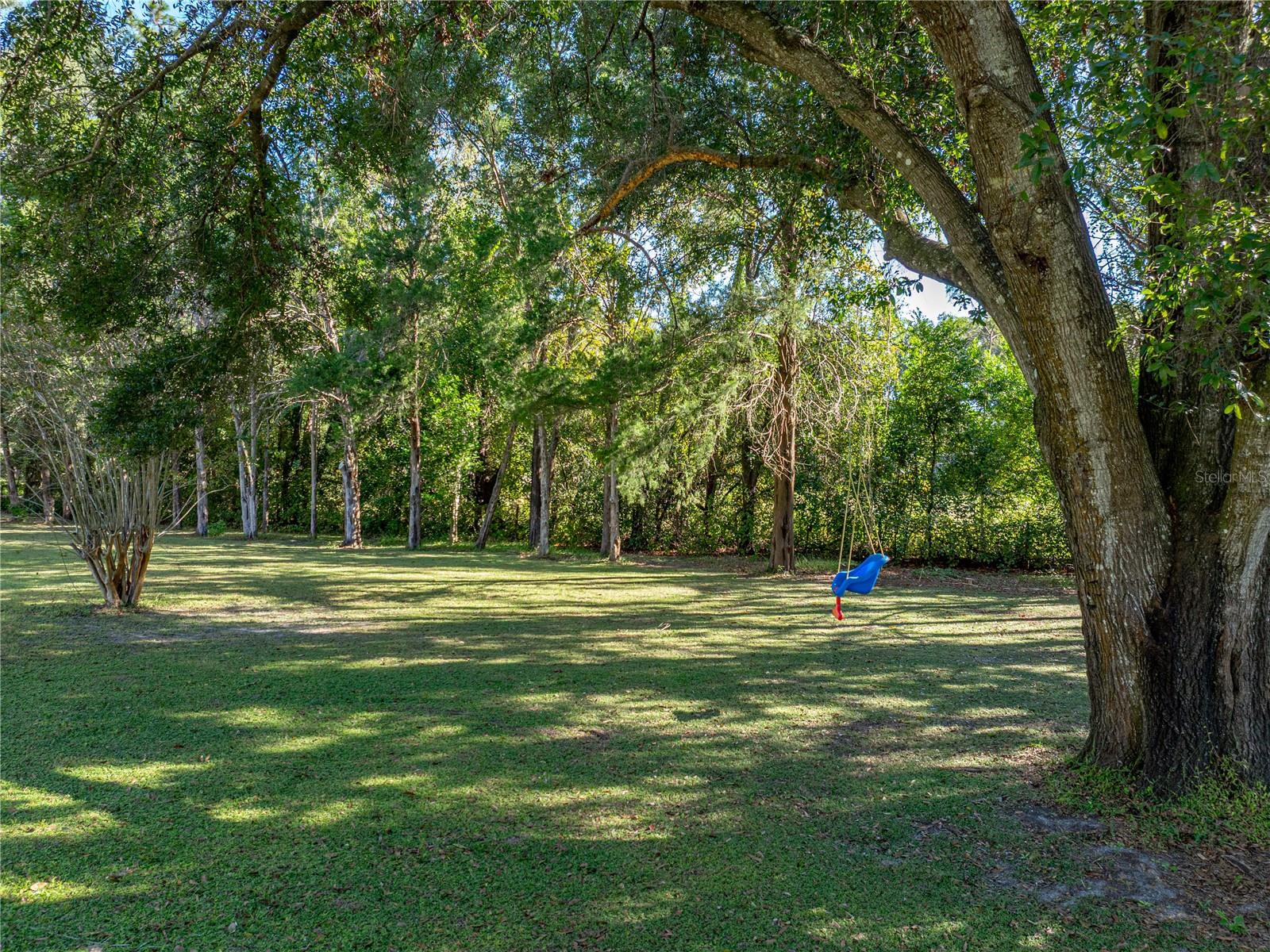 Image 63 of 68 For 34800 Orange Belt Drive