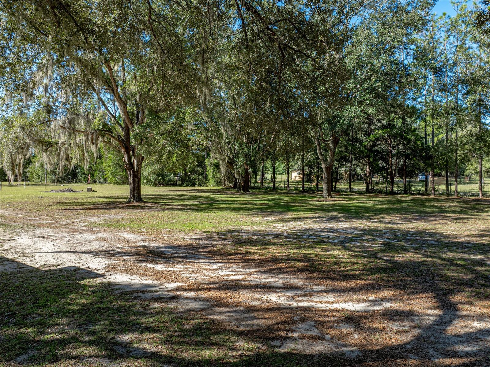 Image 67 of 68 For 34800 Orange Belt Drive