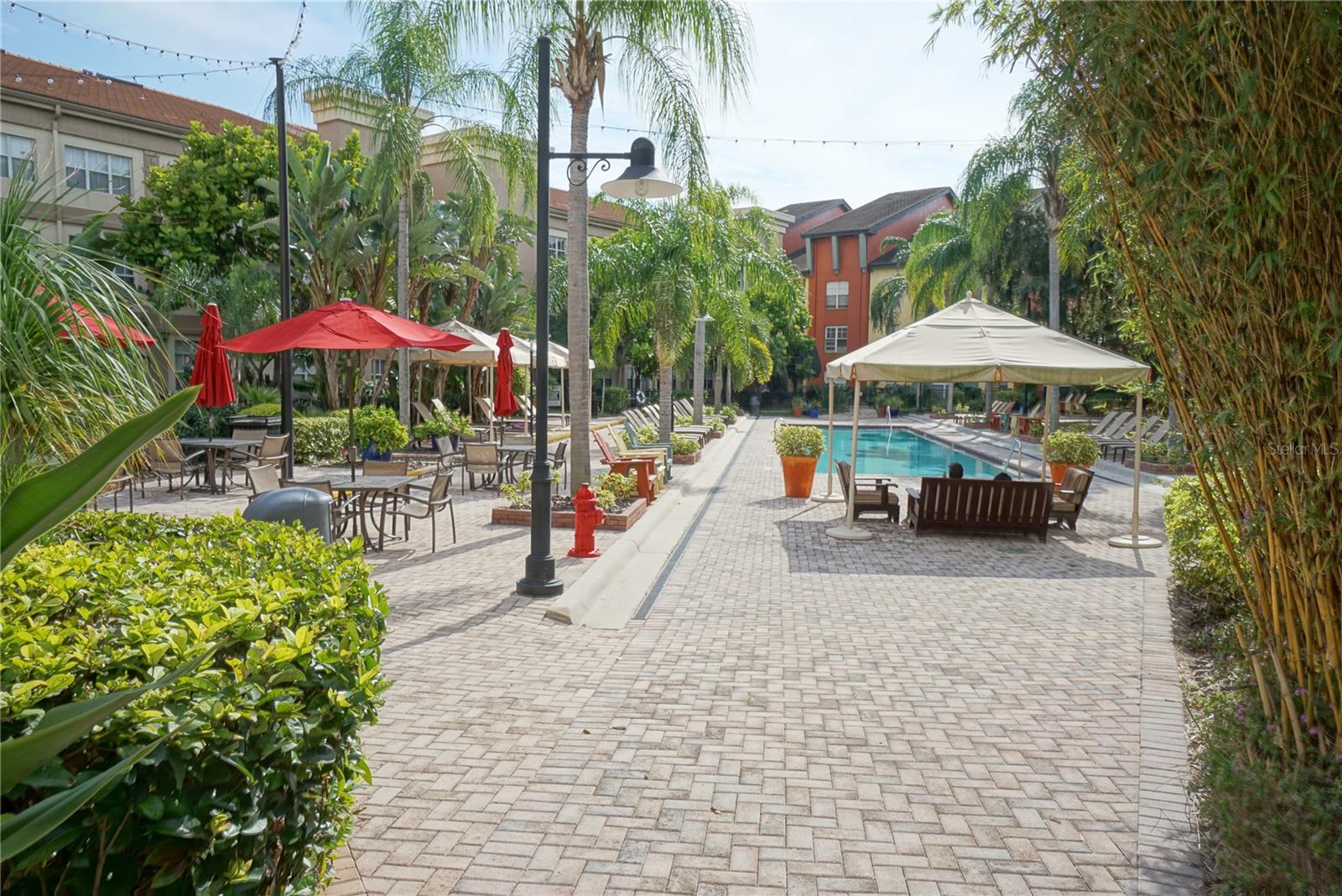 Image 14 of 16 For 2411 Horatio Street 539