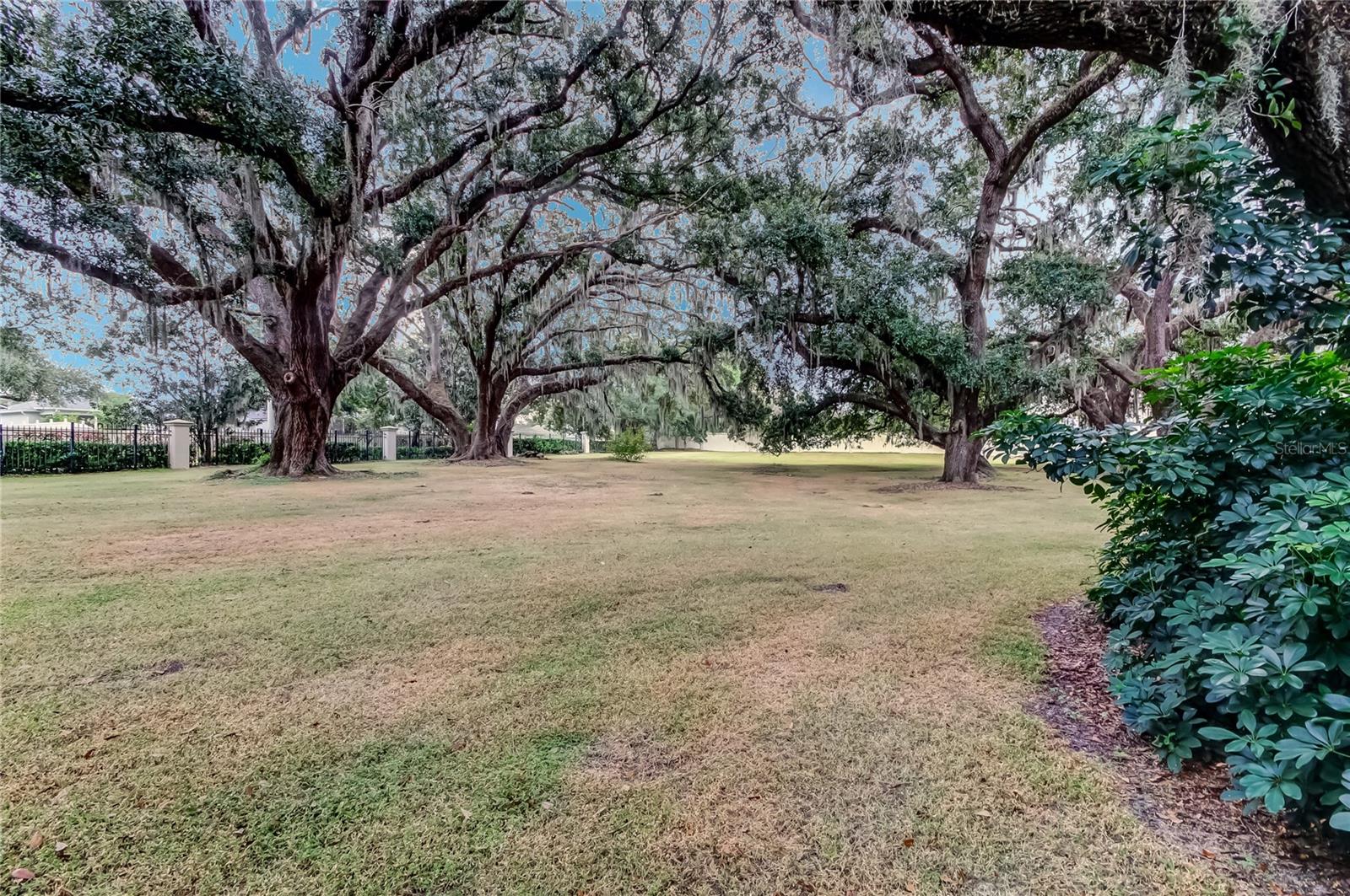 Image 45 of 65 For 1138 Hillhurst Drive