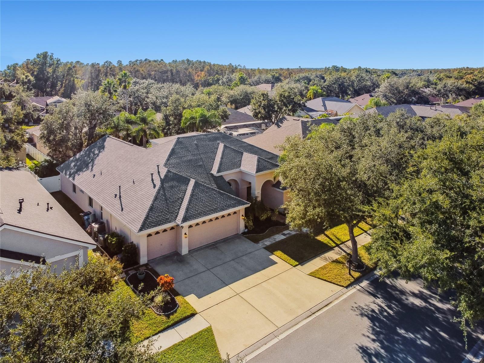 Image 70 of 88 For 19104 Nature Palm Lane