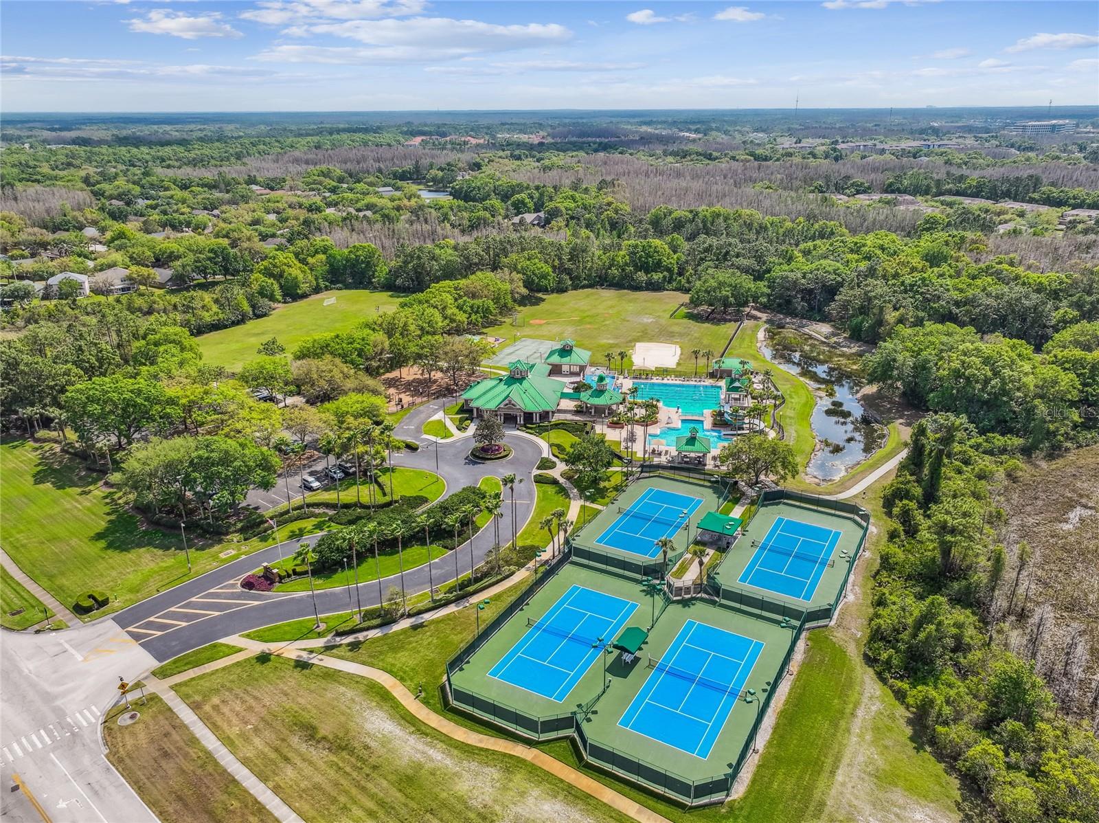 Image 71 of 88 For 19104 Nature Palm Lane