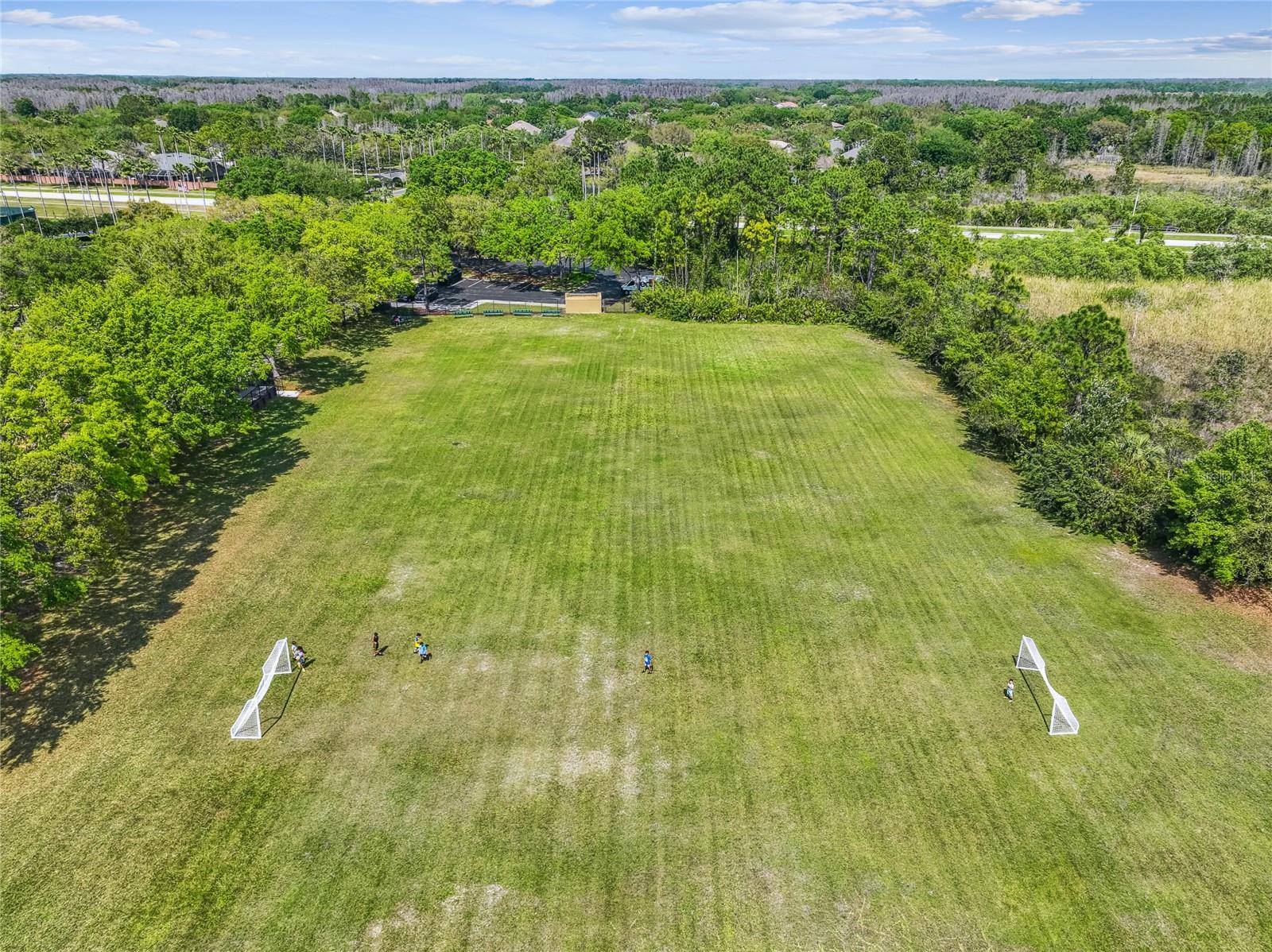 Image 82 of 88 For 19104 Nature Palm Lane