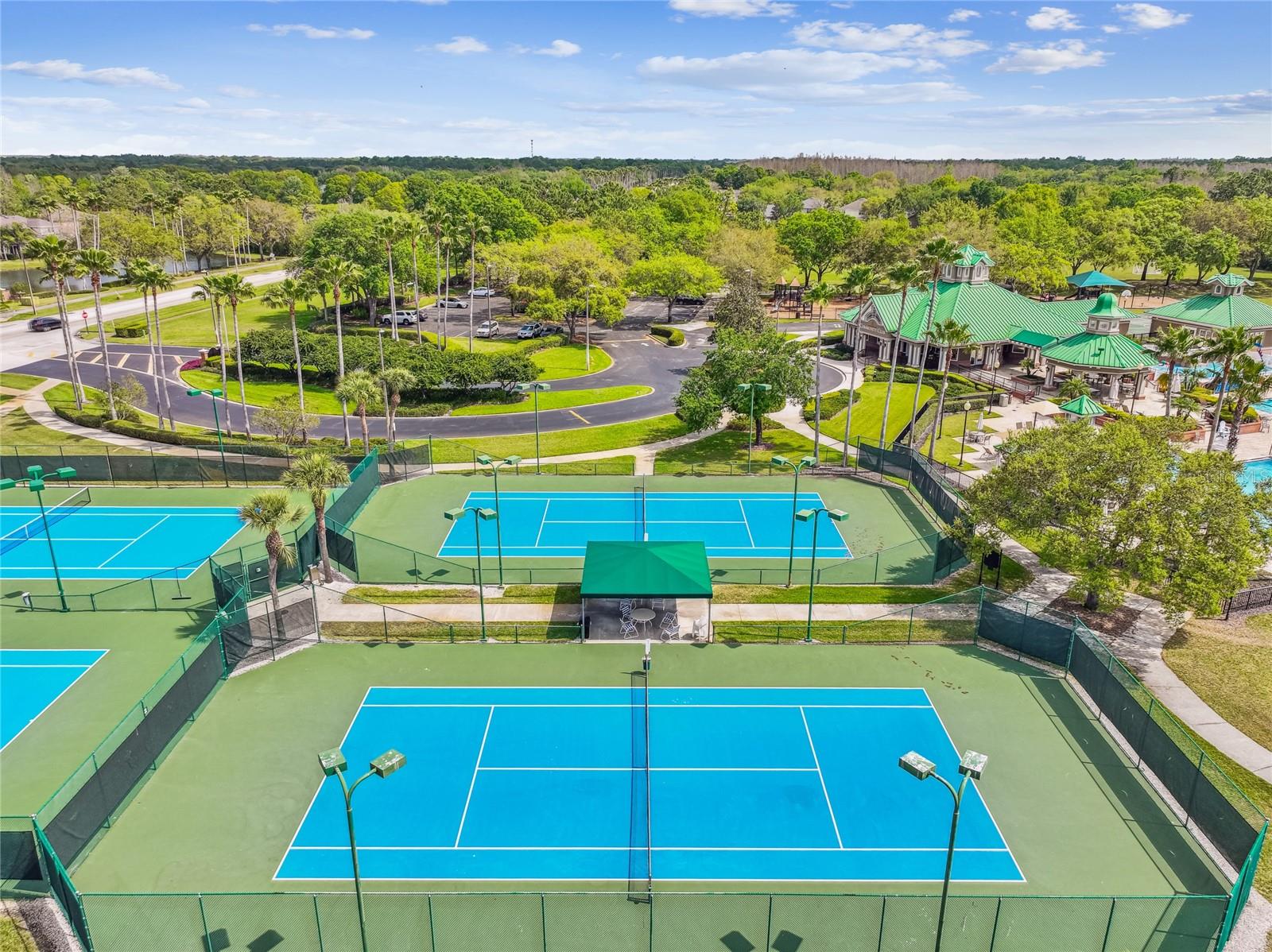Image 88 of 88 For 19104 Nature Palm Lane