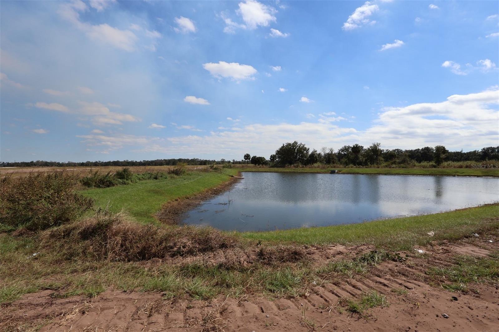 Image 6 of 11 For 7787 Ocean Spray Trail