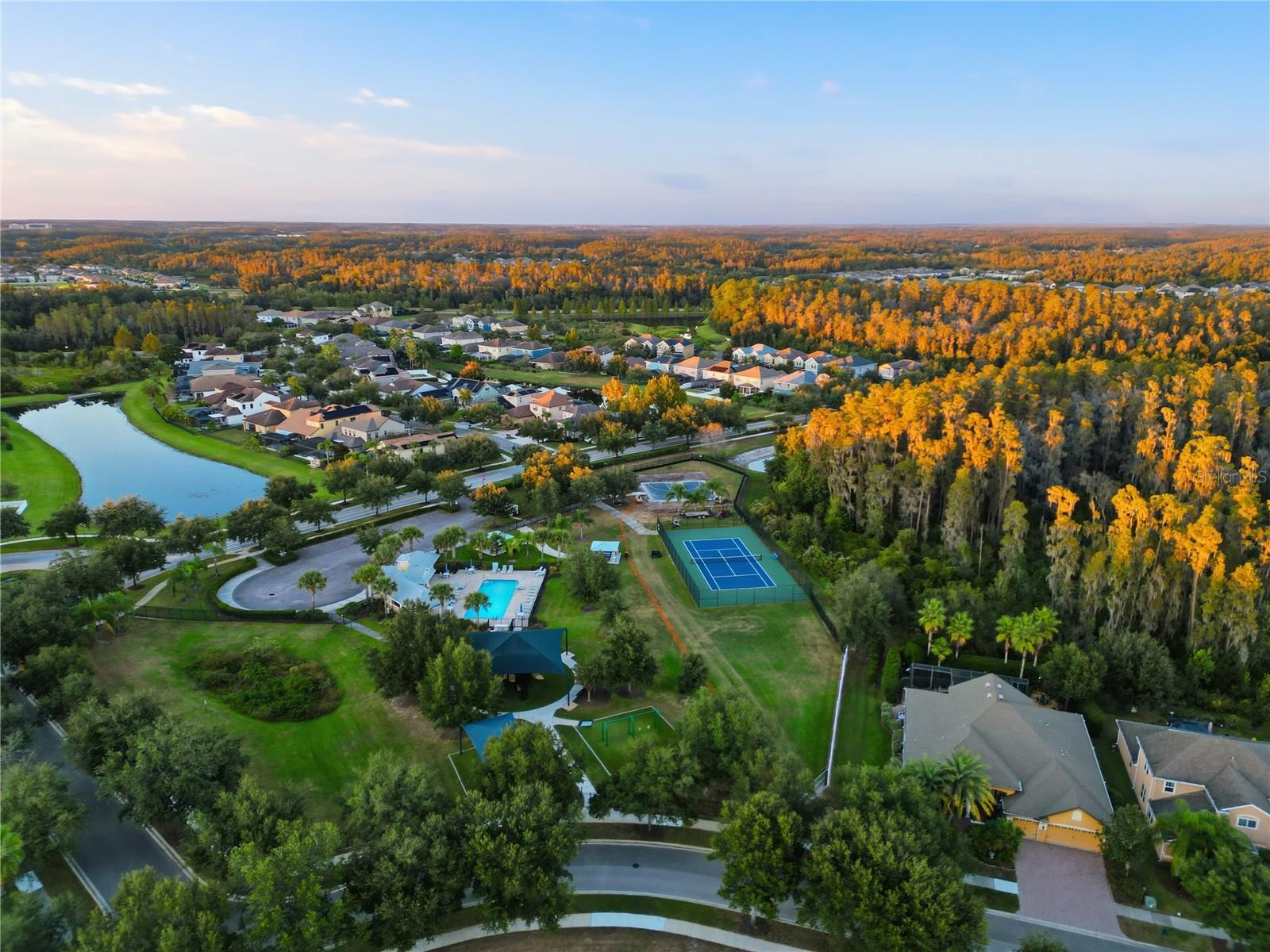 Image 42 of 46 For 19238 Climbing Aster Drive