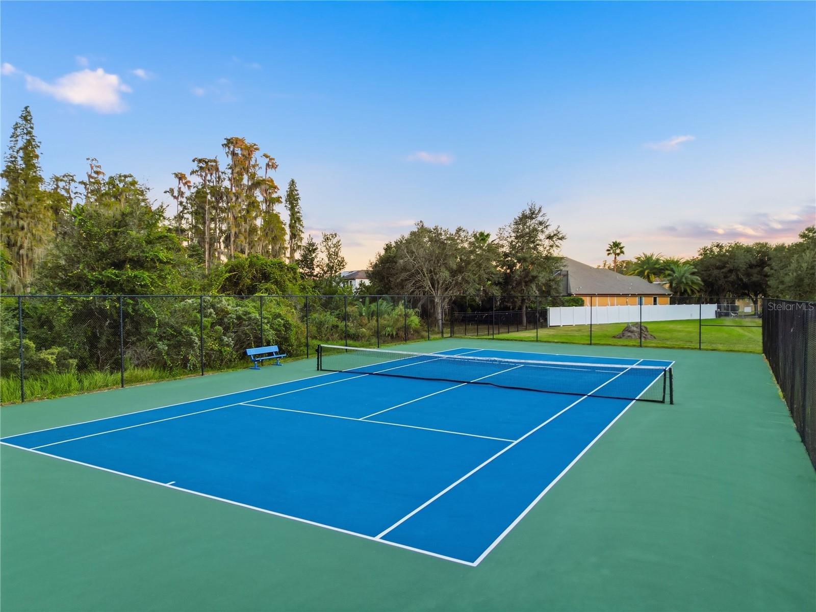 Image 46 of 46 For 19238 Climbing Aster Drive