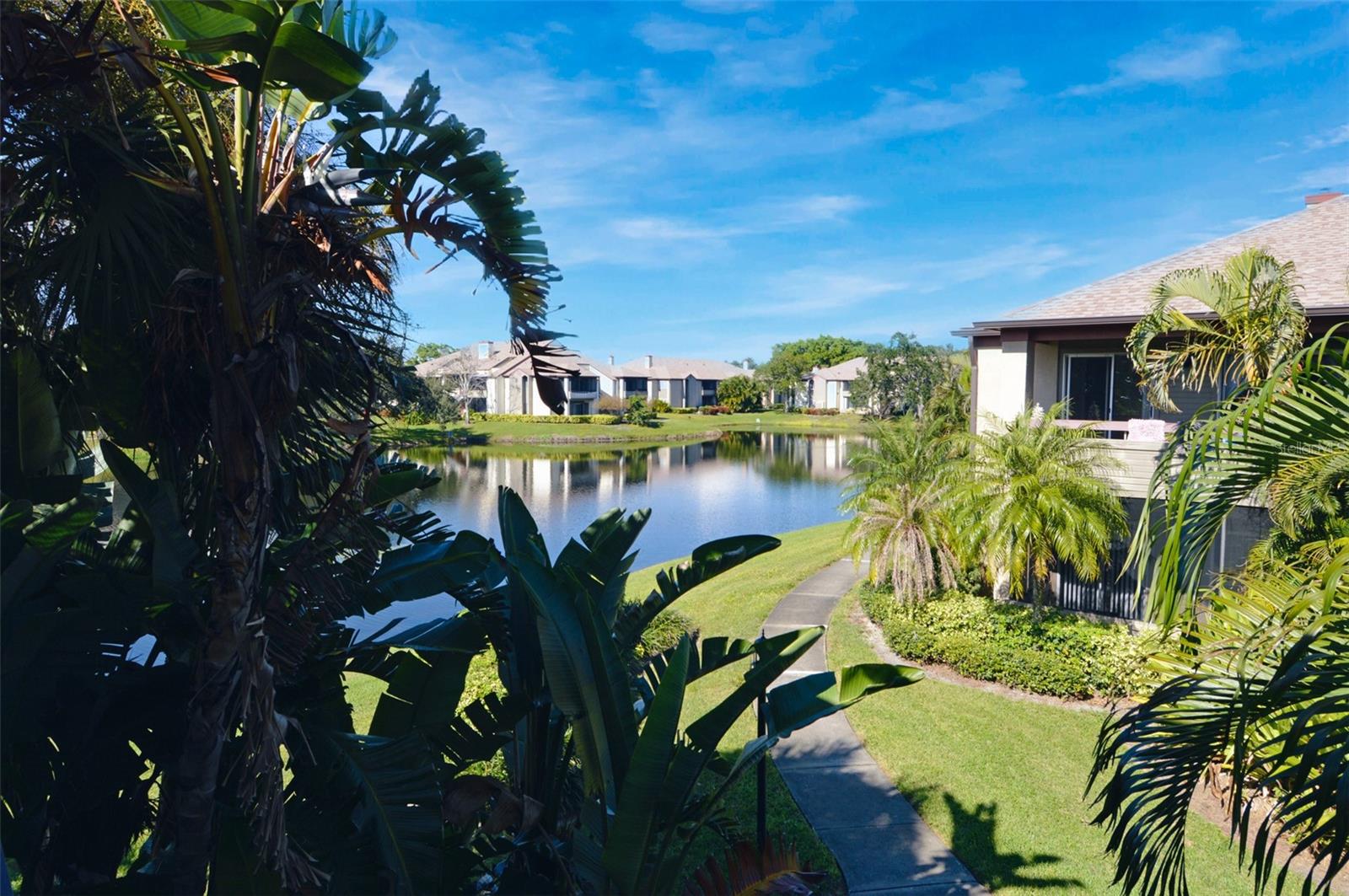 Image 49 of 100 For 10263 Gandy Boulevard N 108(furnis