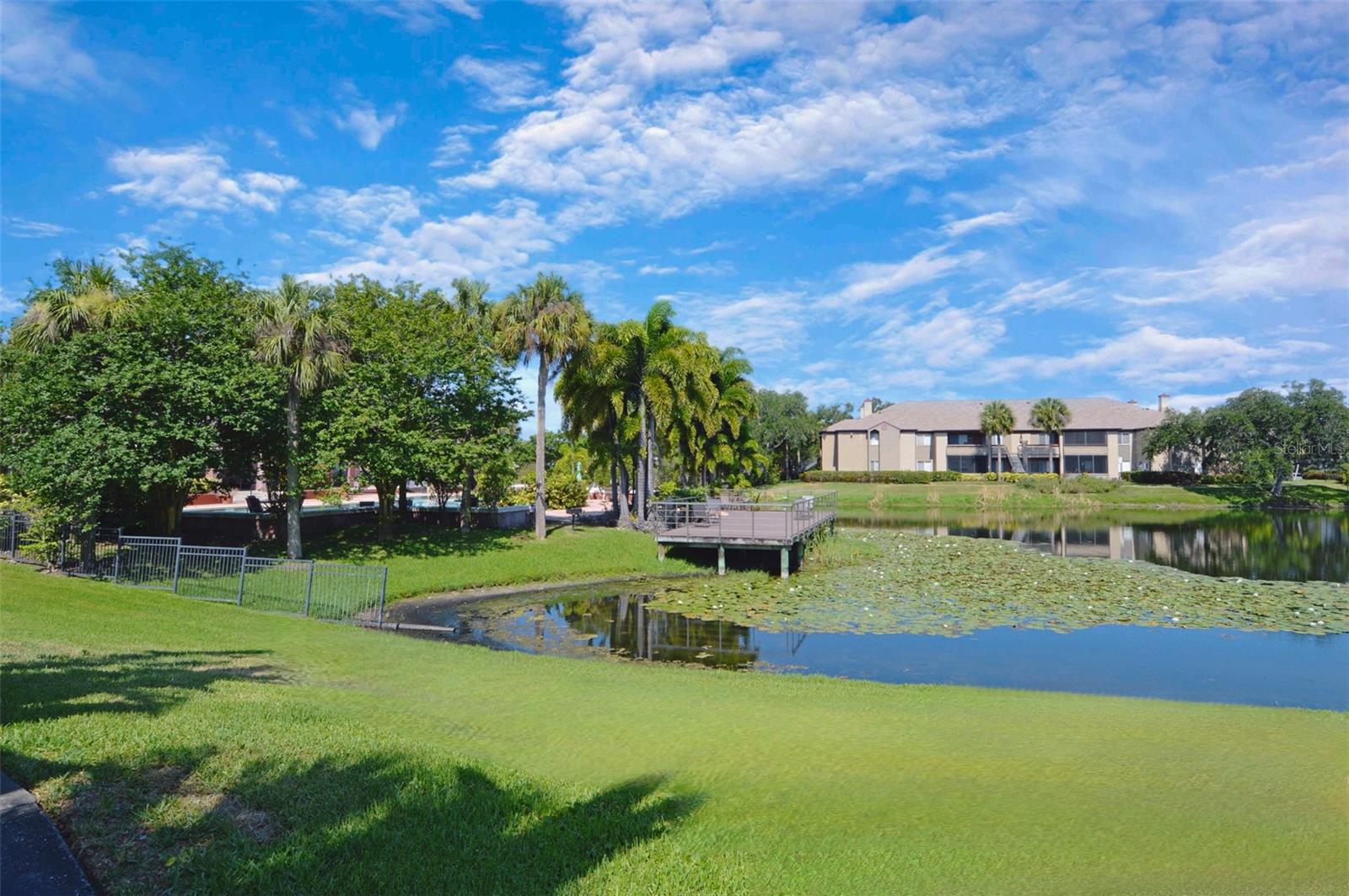 Image 54 of 100 For 10263 Gandy Boulevard N 108(furnis