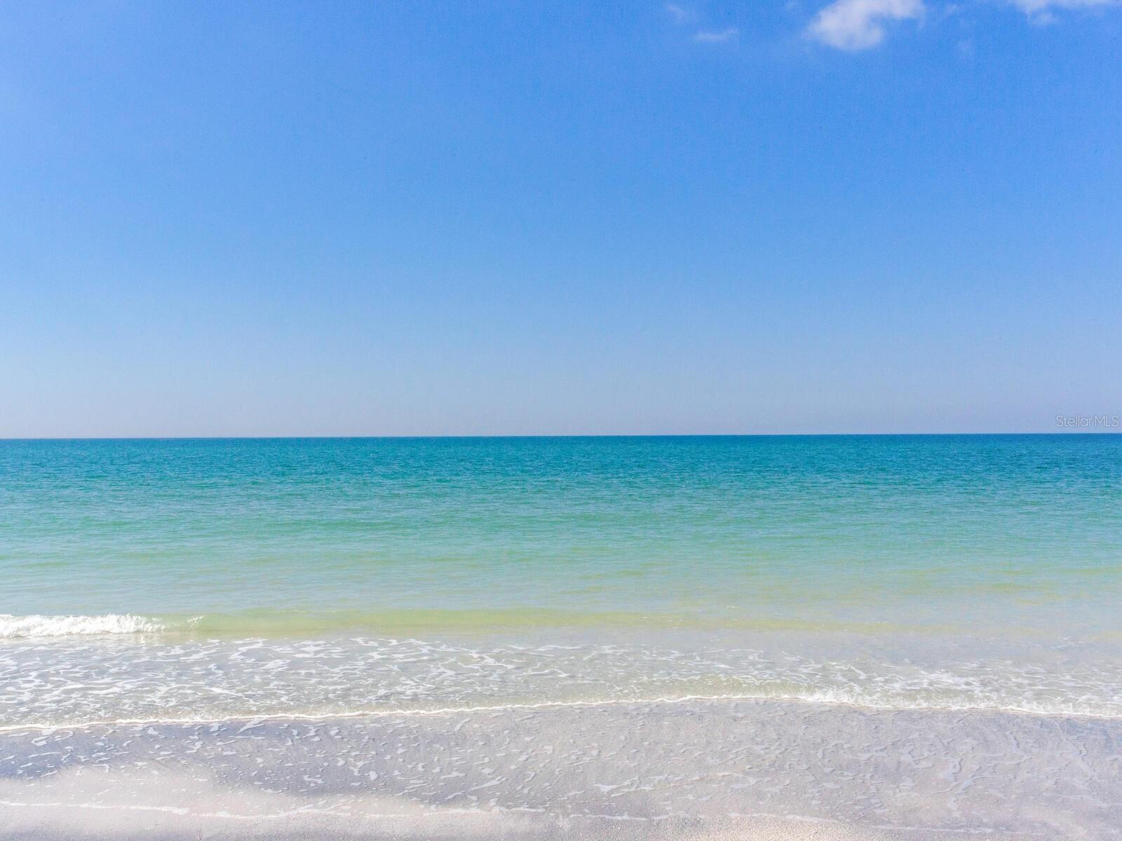 Image 74 of 79 For 1600 Gulf Boulevard 1018