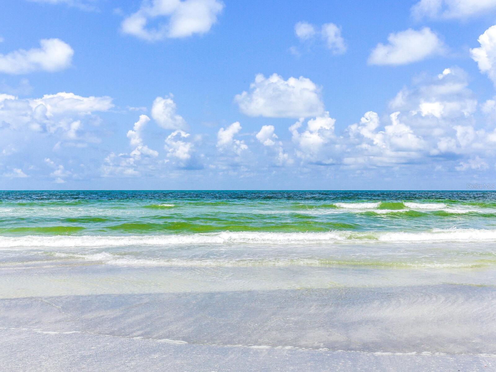 Image 76 of 79 For 1600 Gulf Boulevard 1018