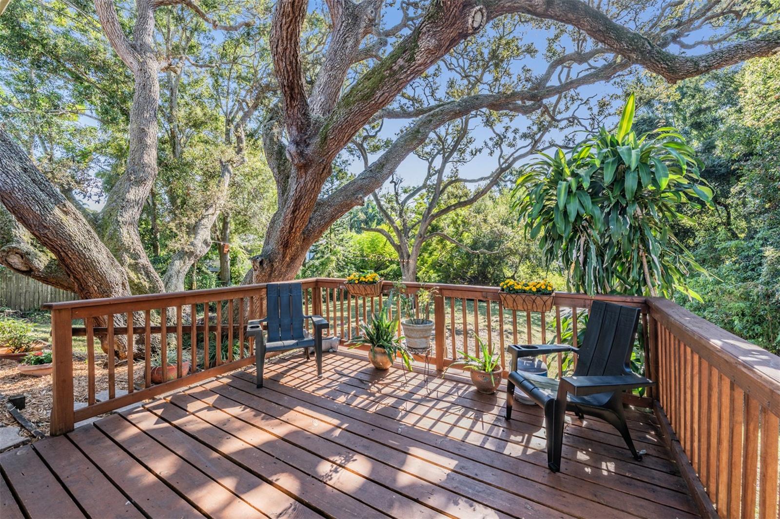 Image 25 of 40 For 1031 Forest Grove Boulevard