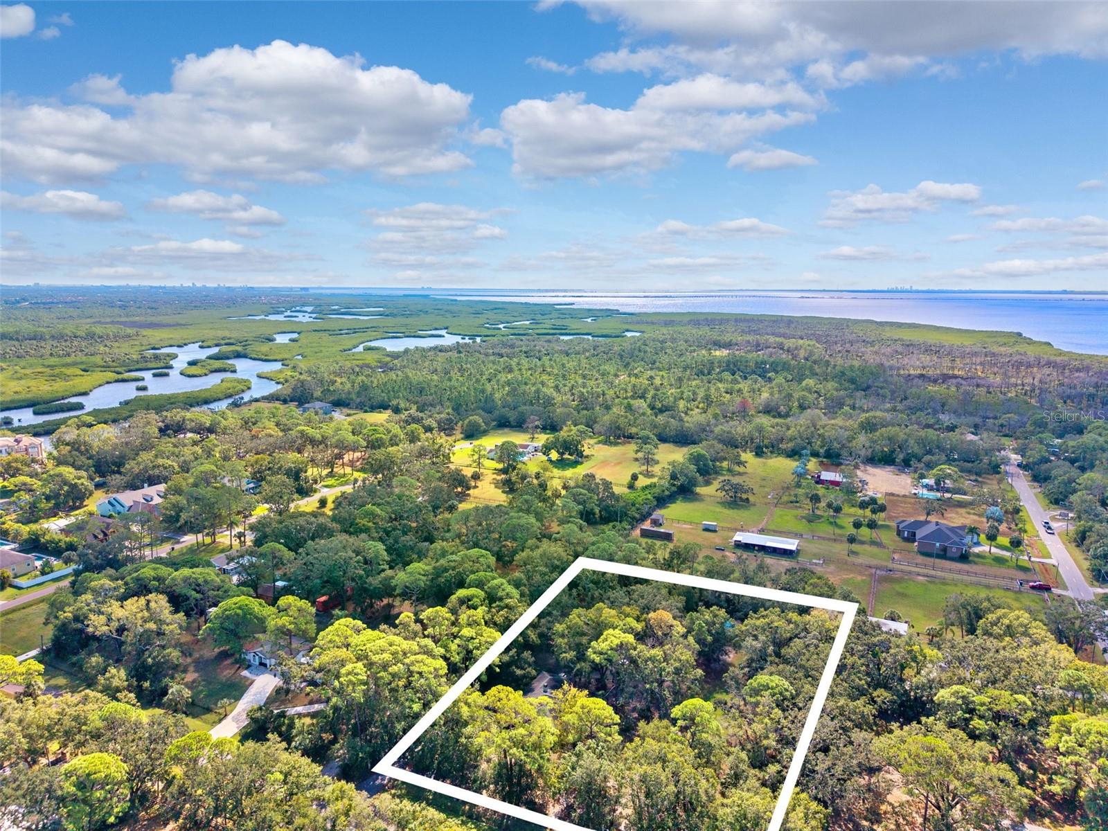 Image 39 of 41 For 12210 State Street