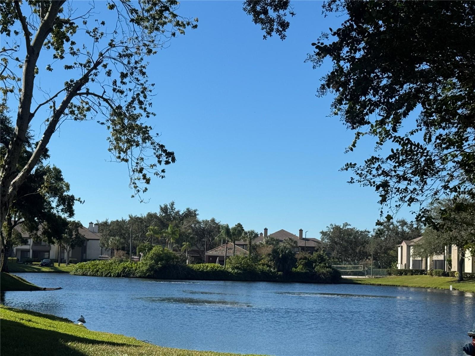 Image 21 of 25 For 10265 Gandy Boulevard N 1001