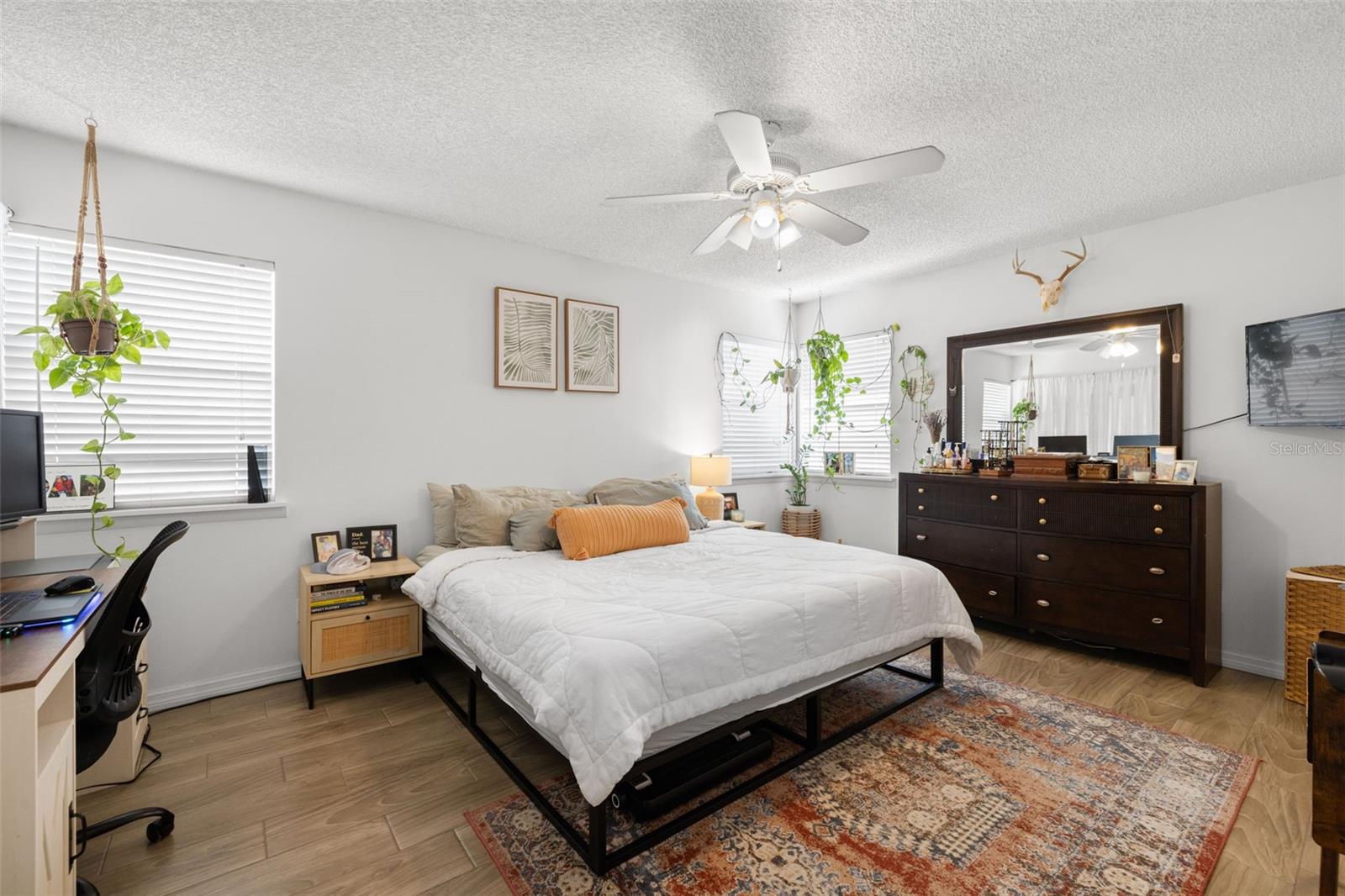 Image 17 of 35 For 245 Petrea Drive