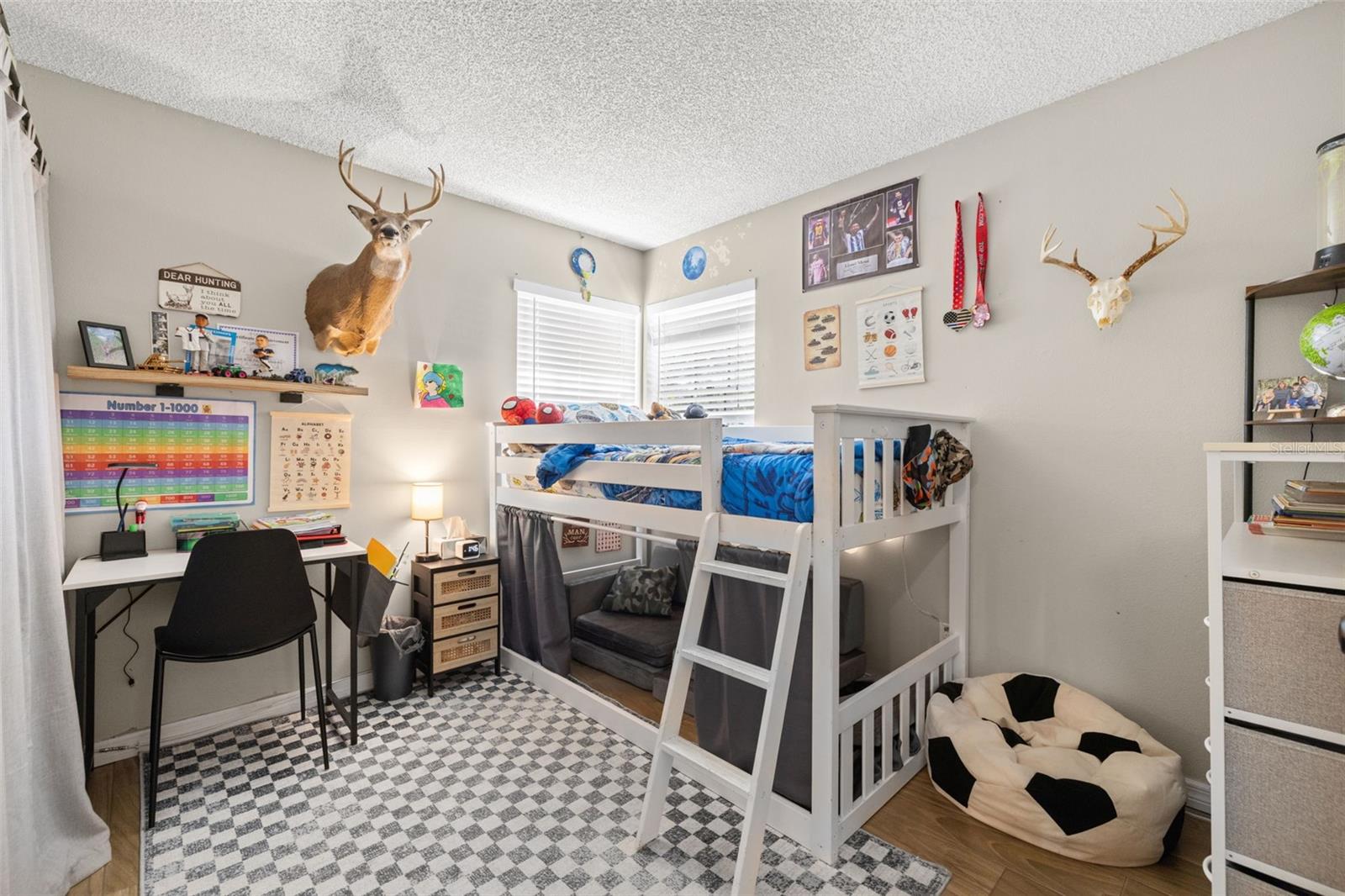 Image 23 of 35 For 245 Petrea Drive