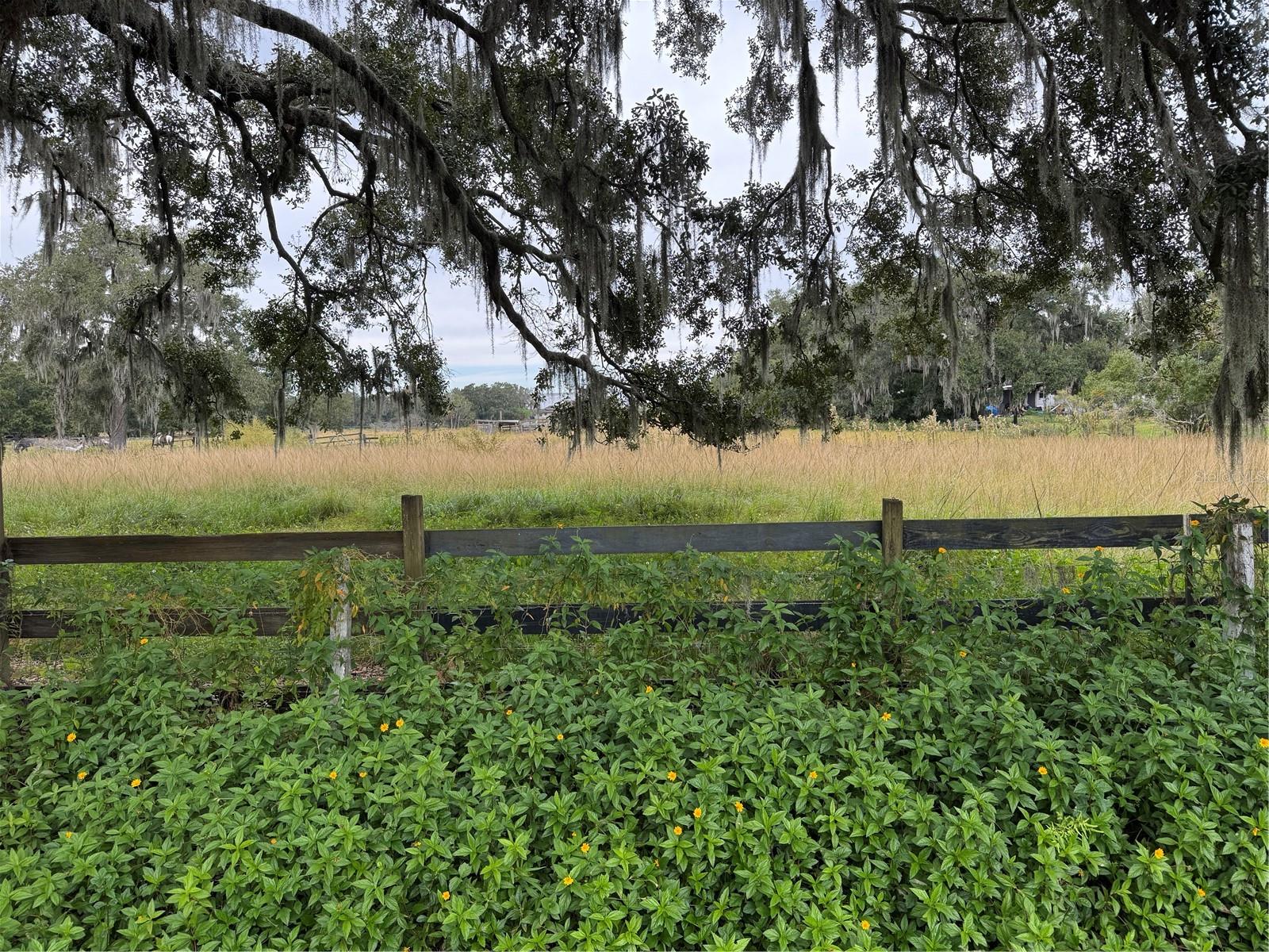 Image 4 of 11 For 0 Cason Road