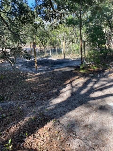 Image 2 of 7 For  Coyote Road 