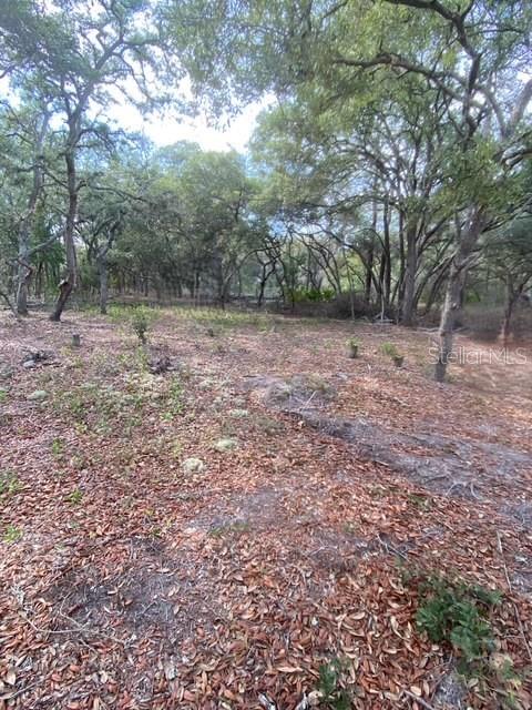 Image 4 of 7 For  Coyote Road 