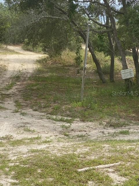 Image 7 of 7 For  Coyote Road 