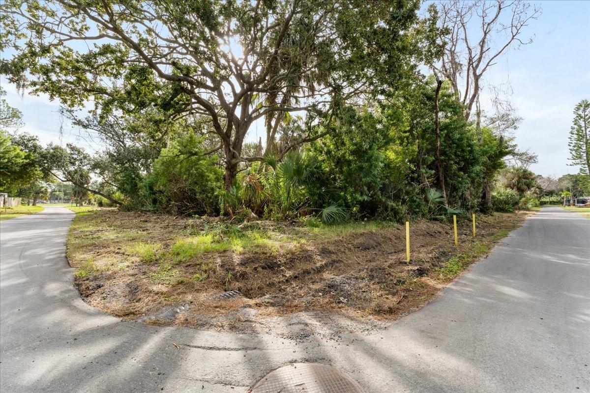 Image 6 of 17 For  Pier Road 