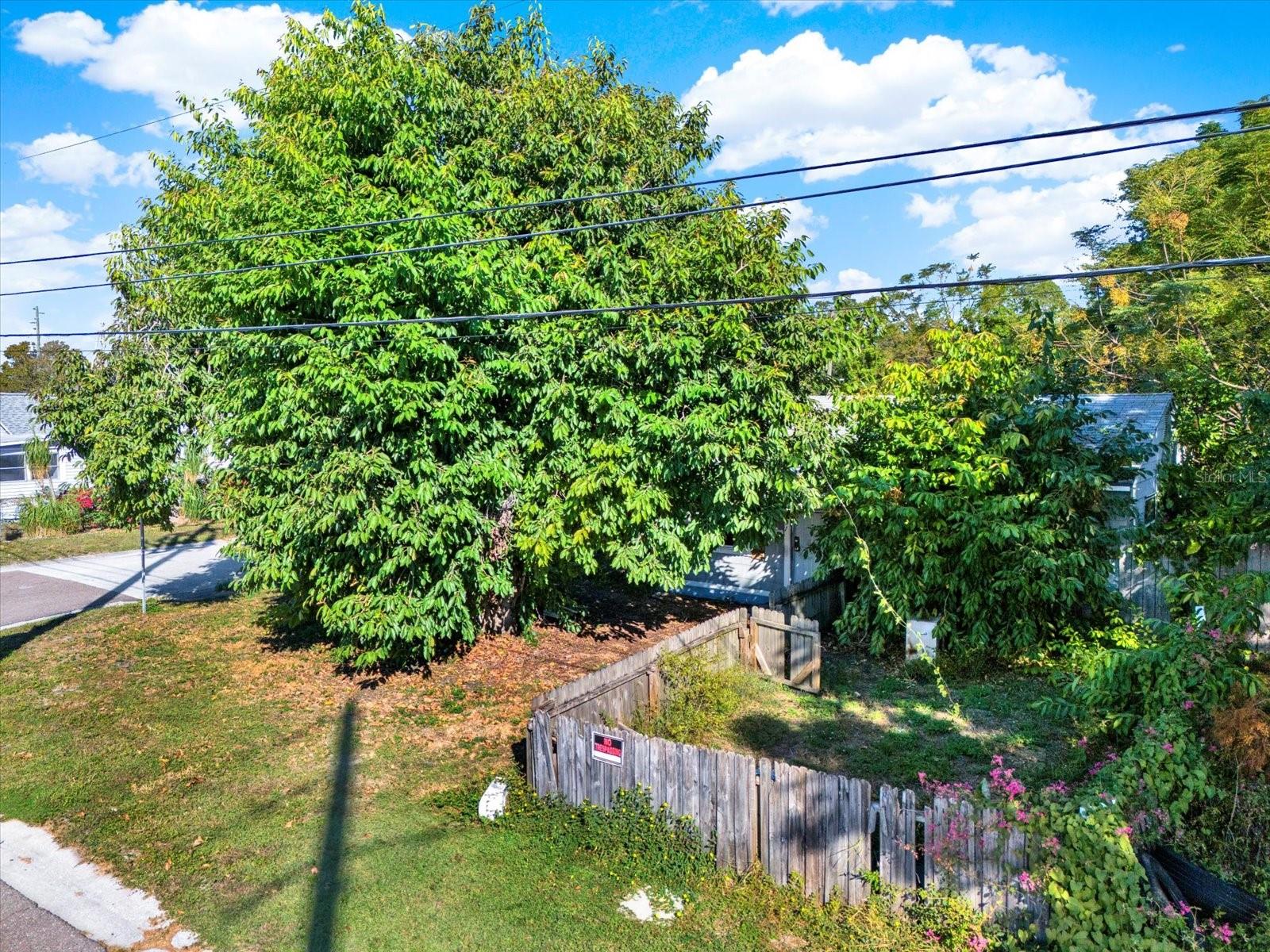 Image 16 of 23 For 2231 28th Avenue N