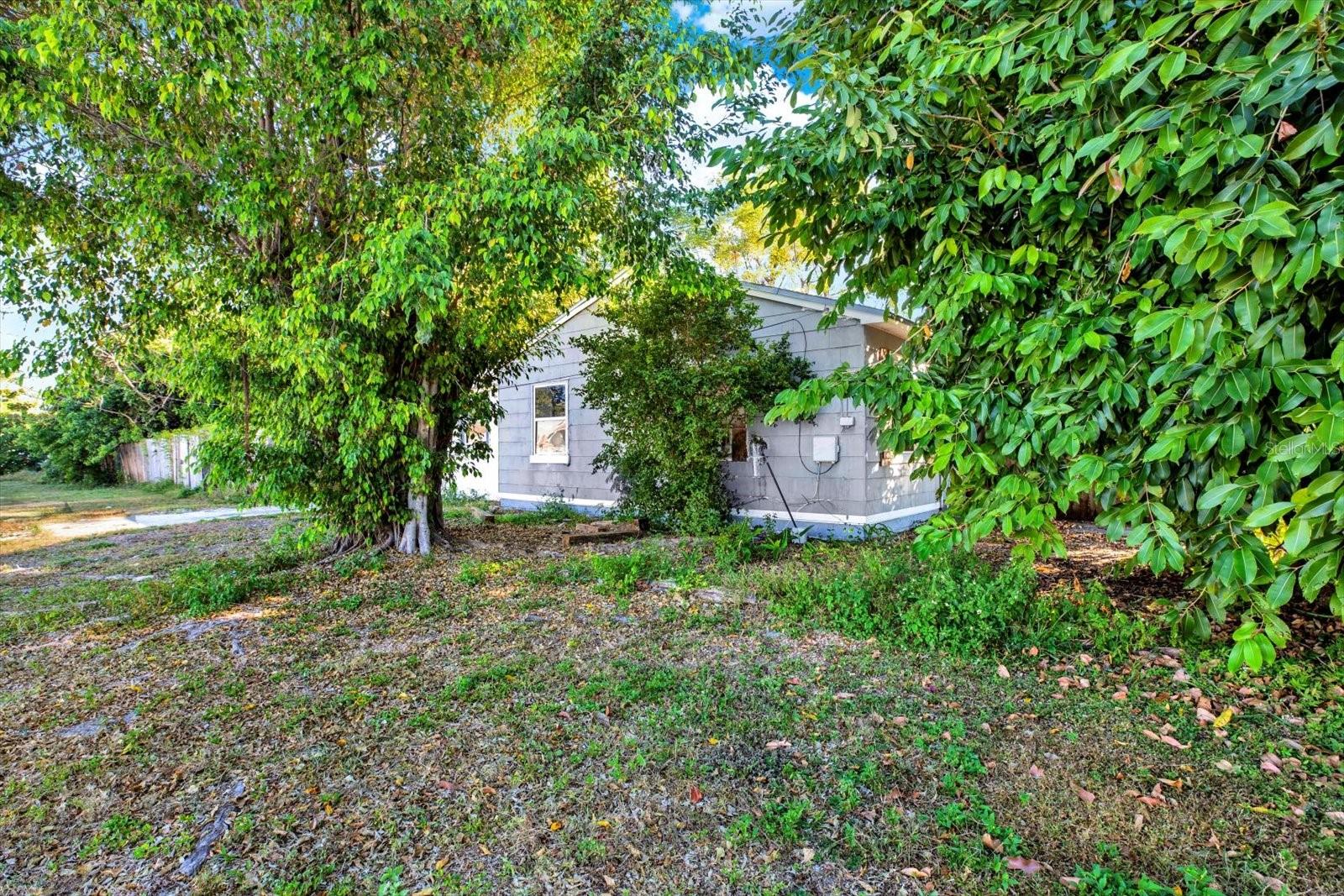 Image 20 of 23 For 2231 28th Avenue N