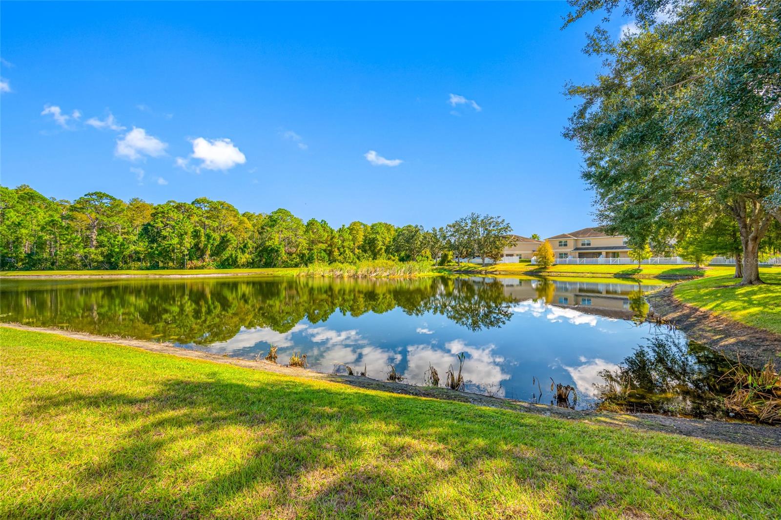 Image 47 of 69 For 13730 Royston Bend