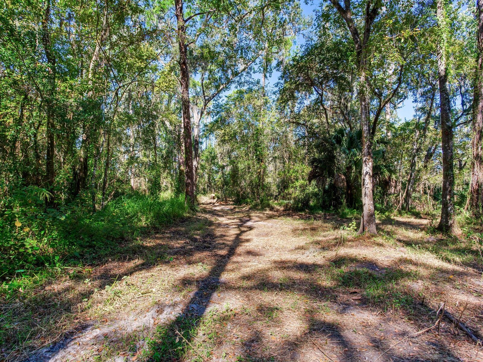 Image 10 of 30 For Drawdy Road