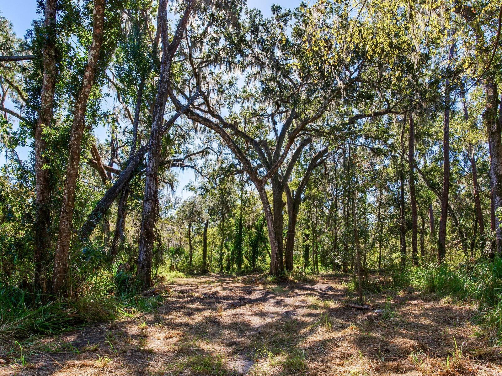 Image 13 of 30 For Drawdy Road