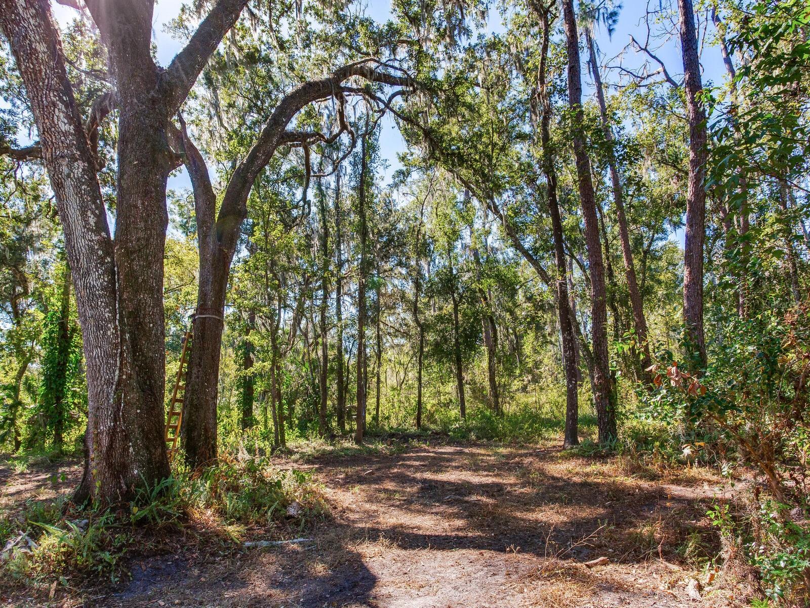 Image 14 of 30 For Drawdy Road