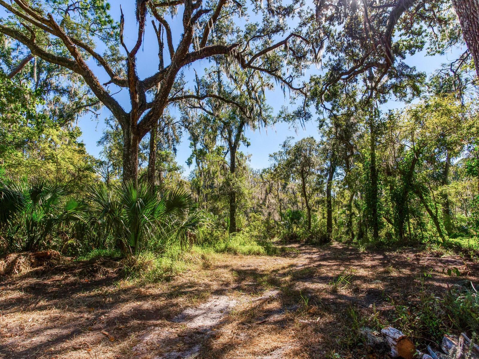 Image 15 of 30 For Drawdy Road