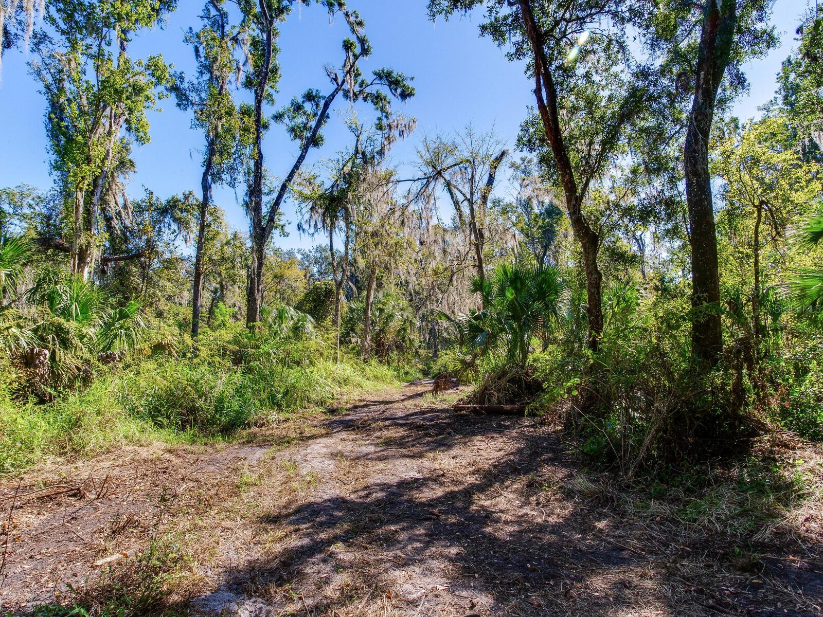 Image 17 of 30 For Drawdy Road