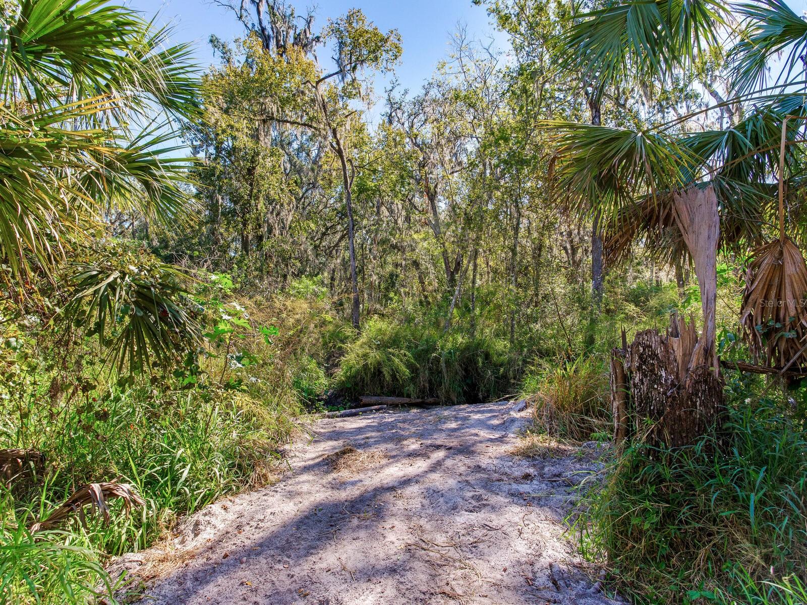 Image 18 of 30 For Drawdy Road