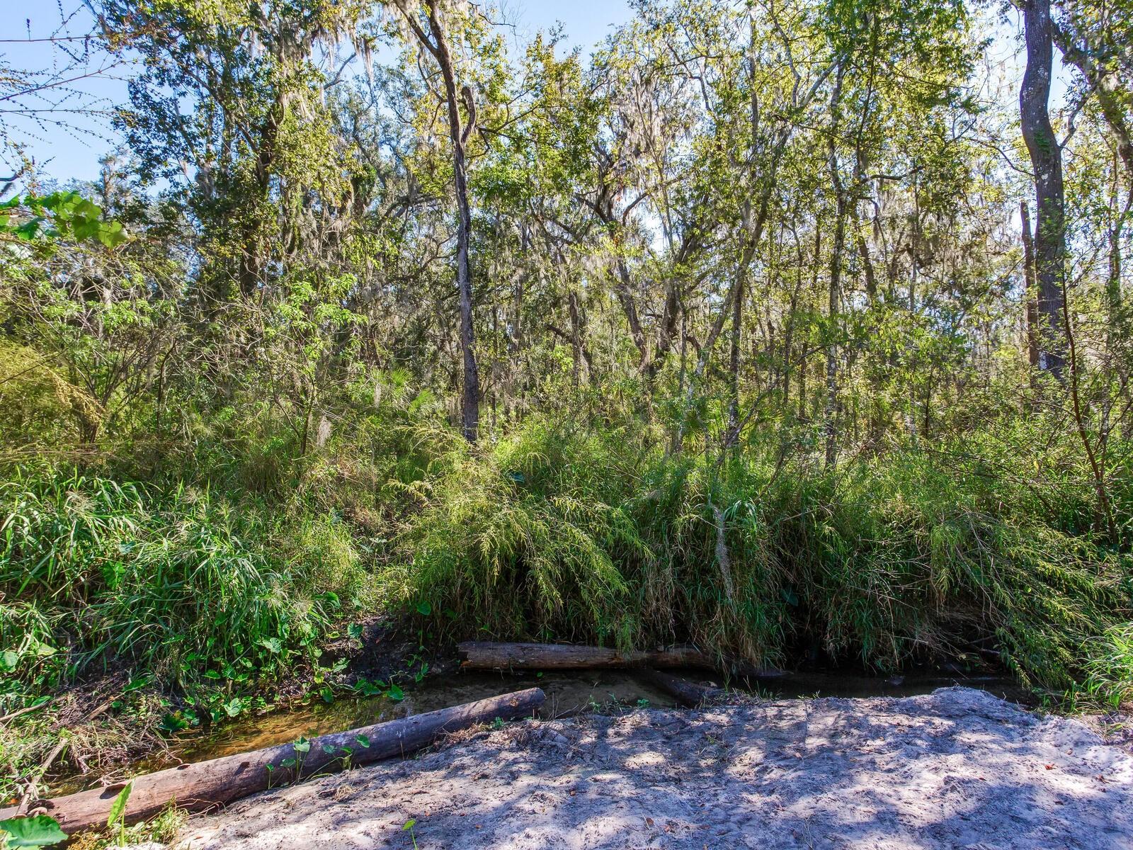 Image 20 of 30 For Drawdy Road