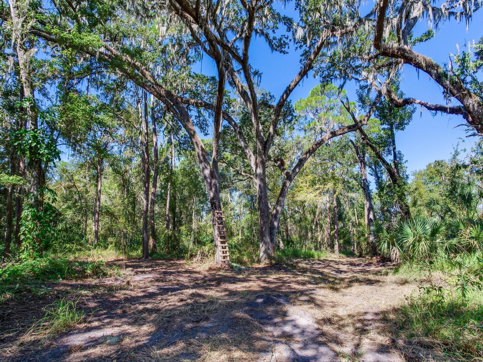 Image 21 of 30 For Drawdy Road